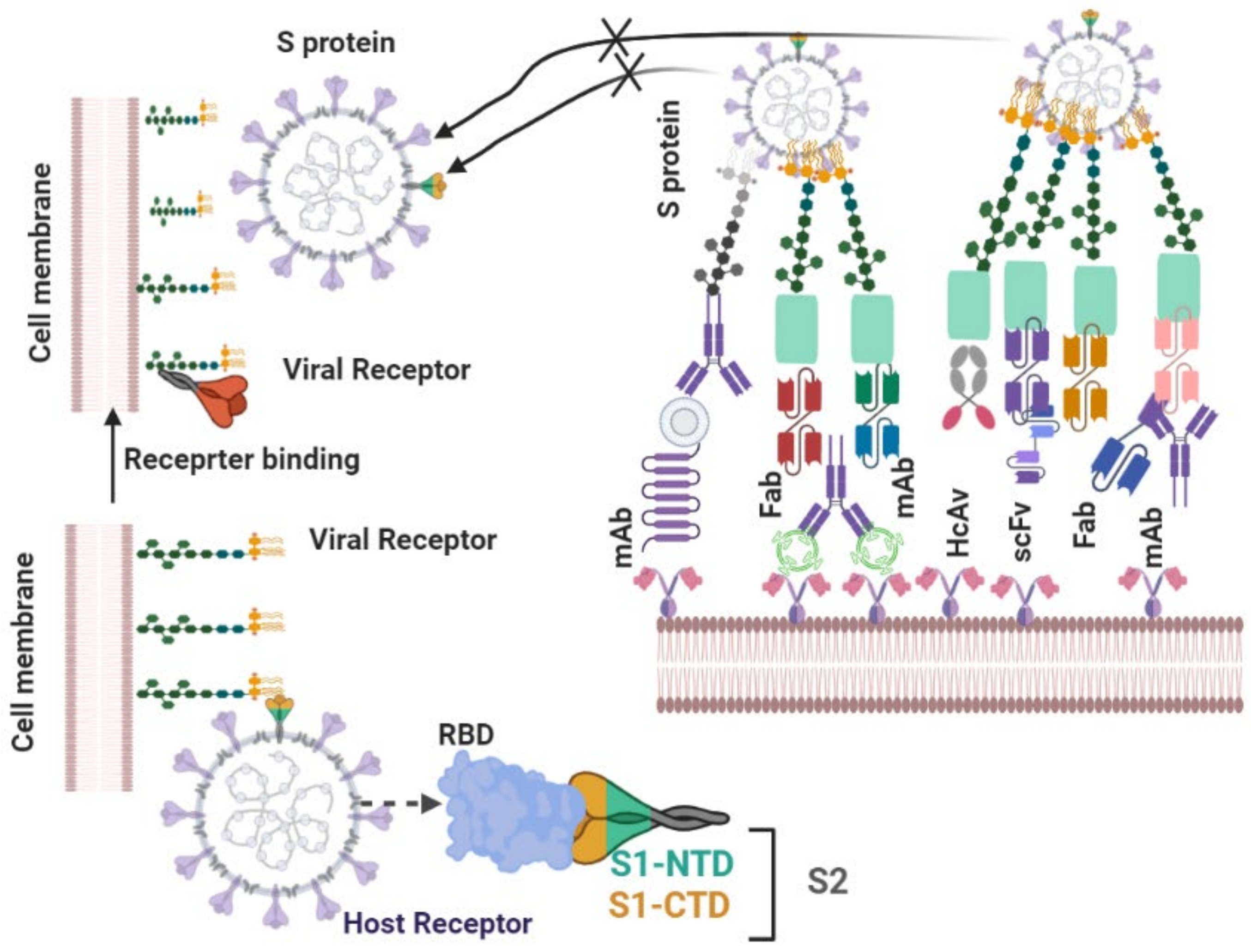 Biomedicines 09 01620 g006