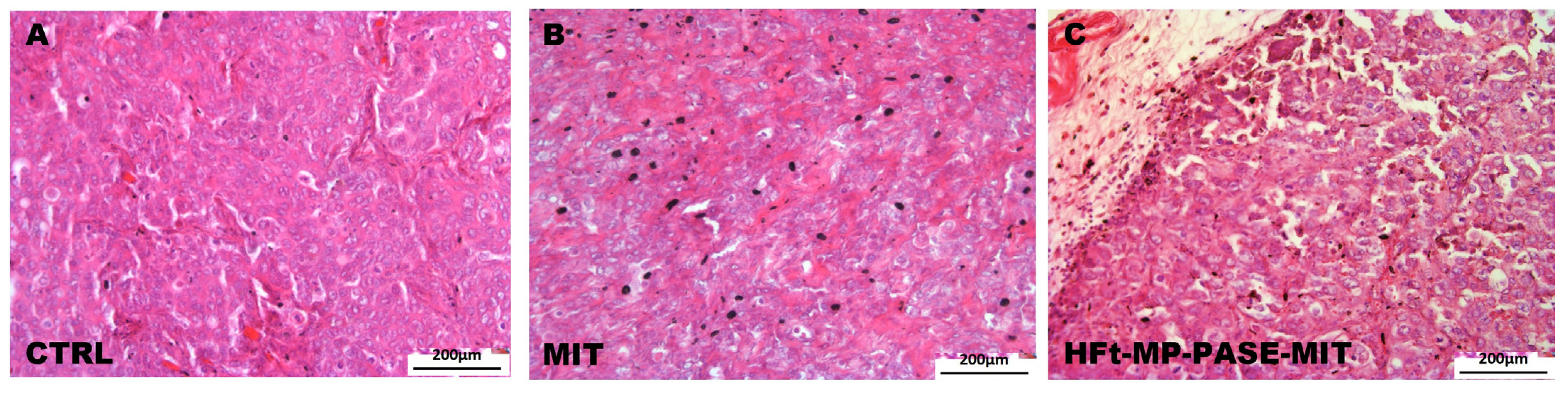Biomedicines 09 01622 g005 550