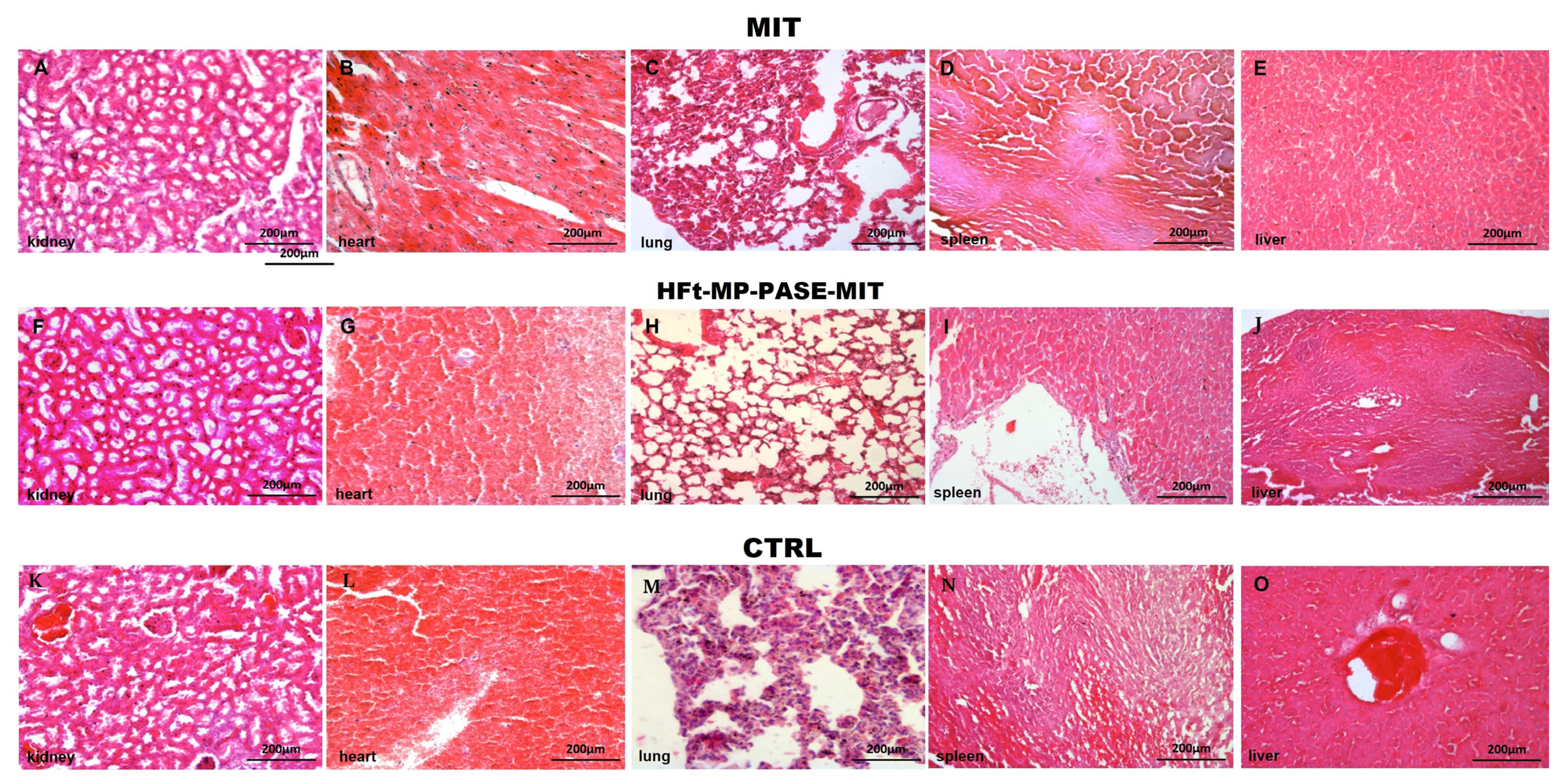 Biomedicines 09 01622 g006 550