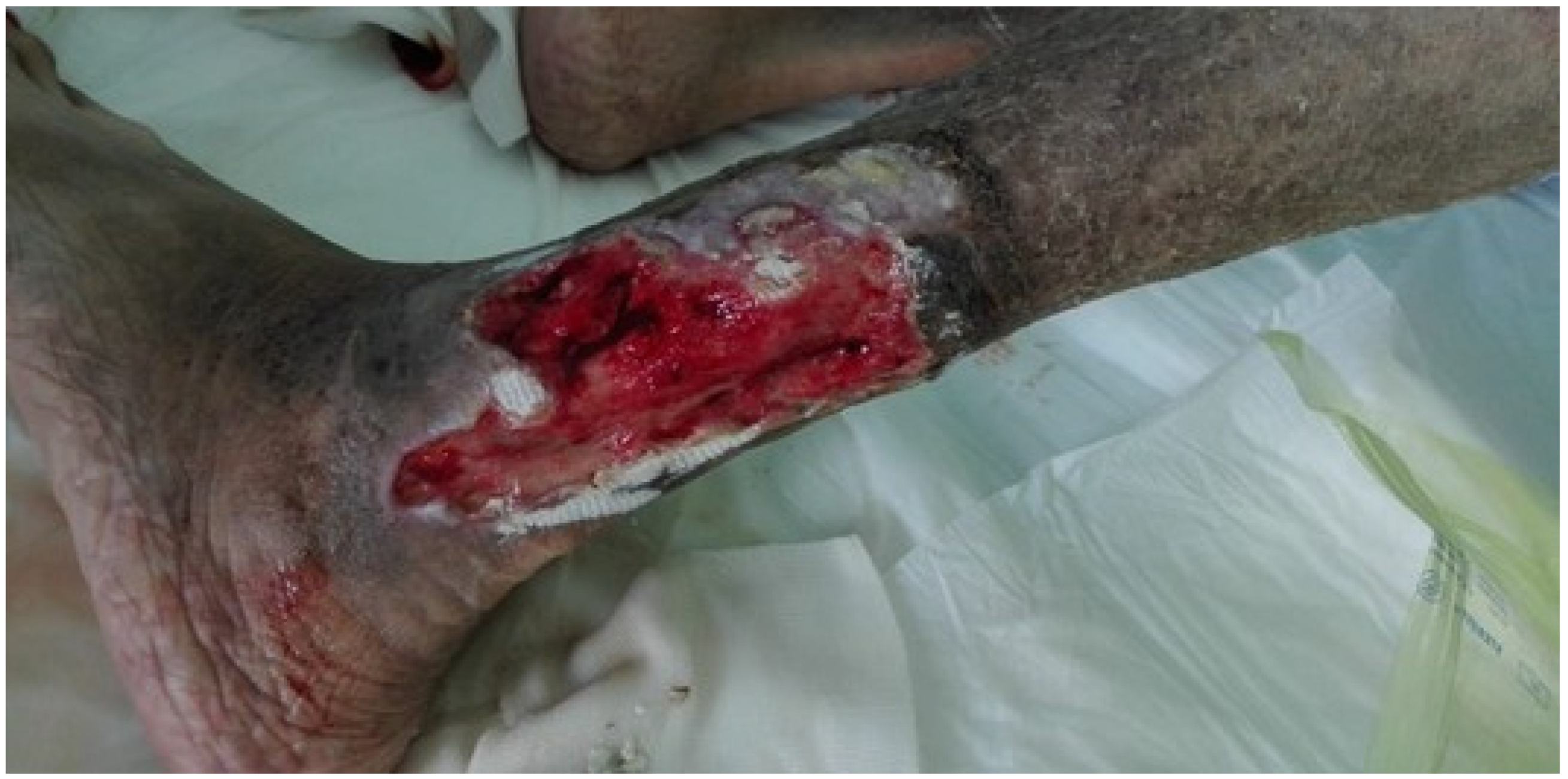 Biomedicines 09 01626 g003