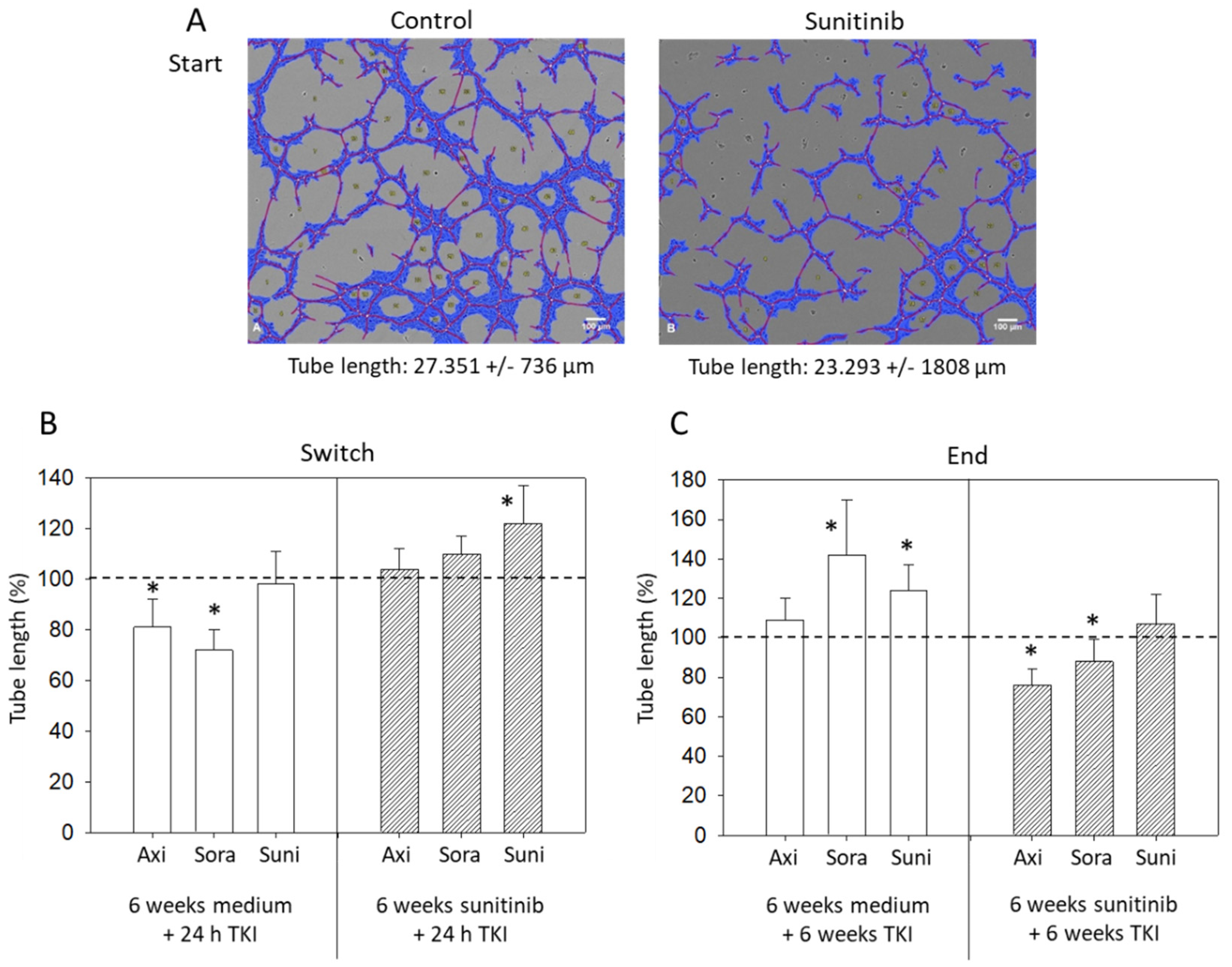 Biomedicines 09 01630 g005