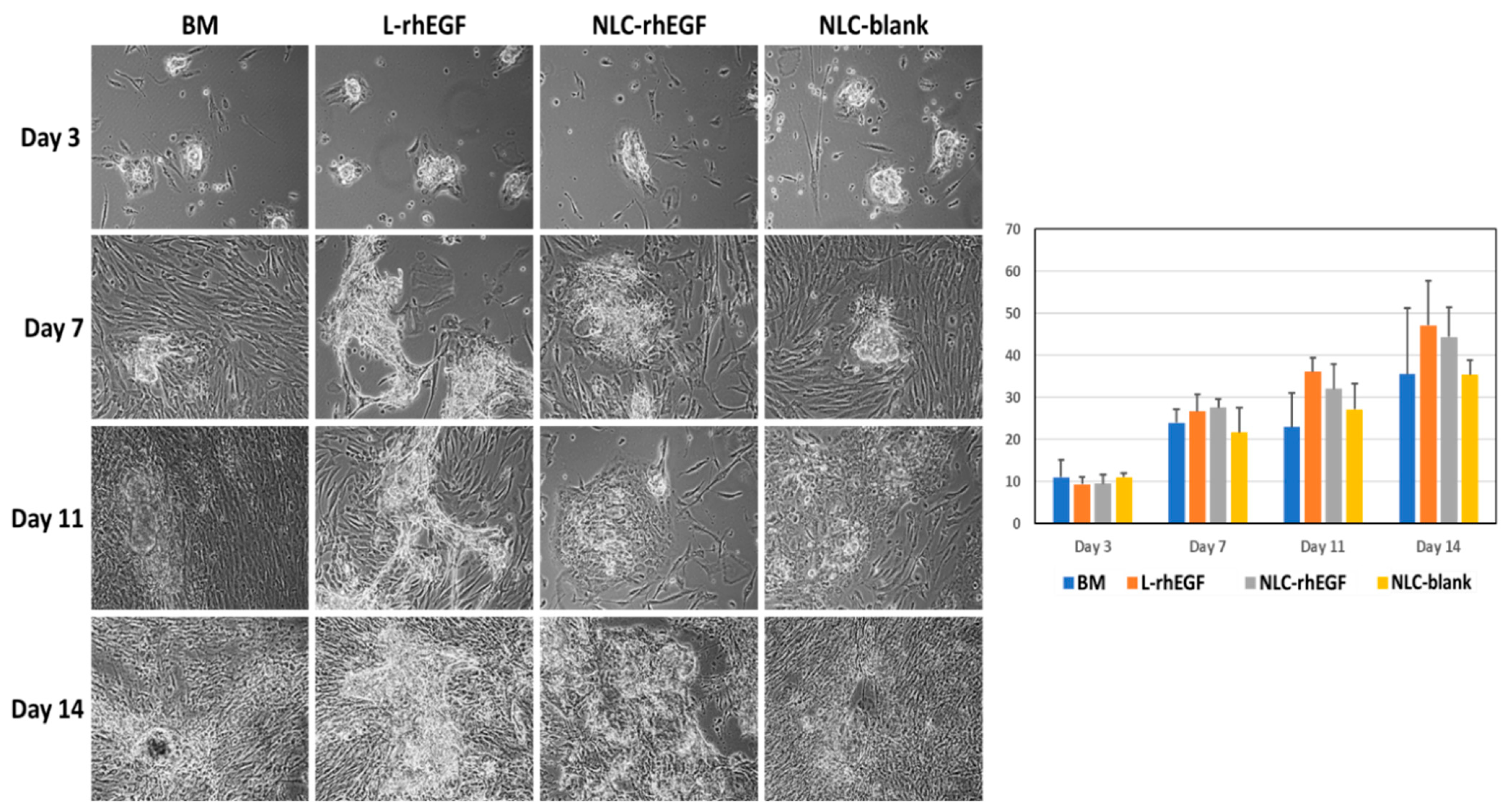 Biomedicines 09 01634 g001