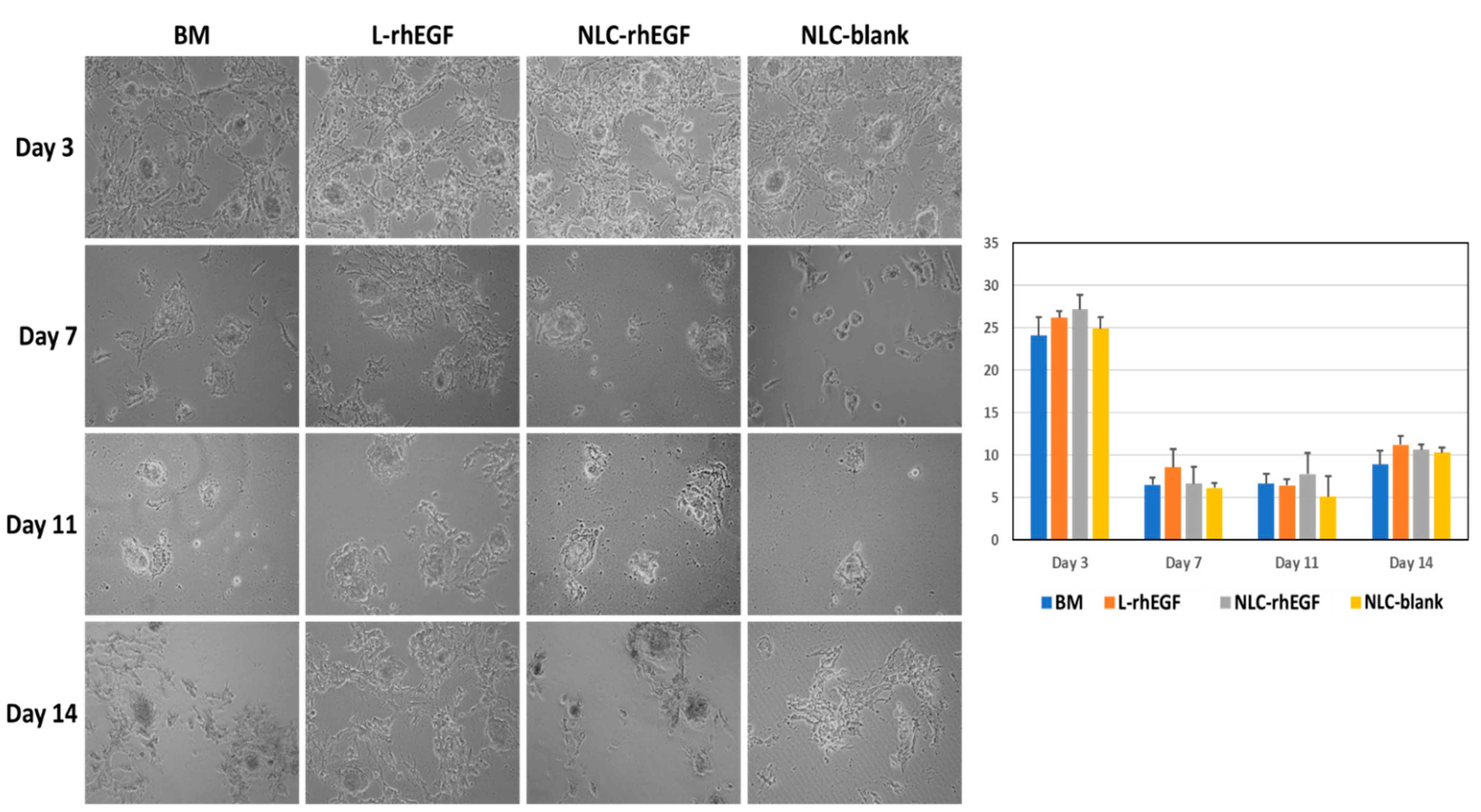 Biomedicines 09 01634 g002