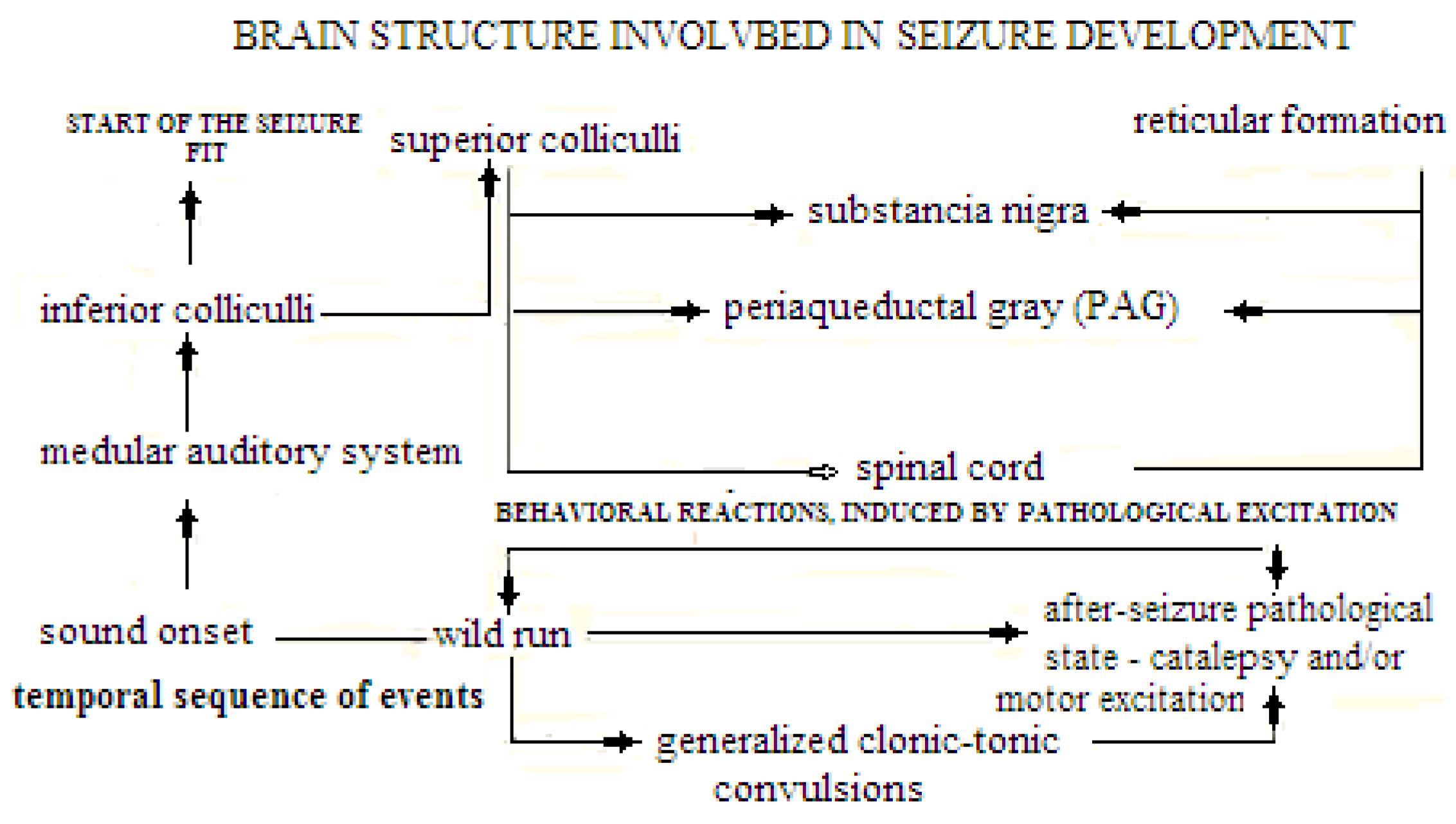 Biomedicines 09 01641 g001 Biomedicines 09 01641 g001