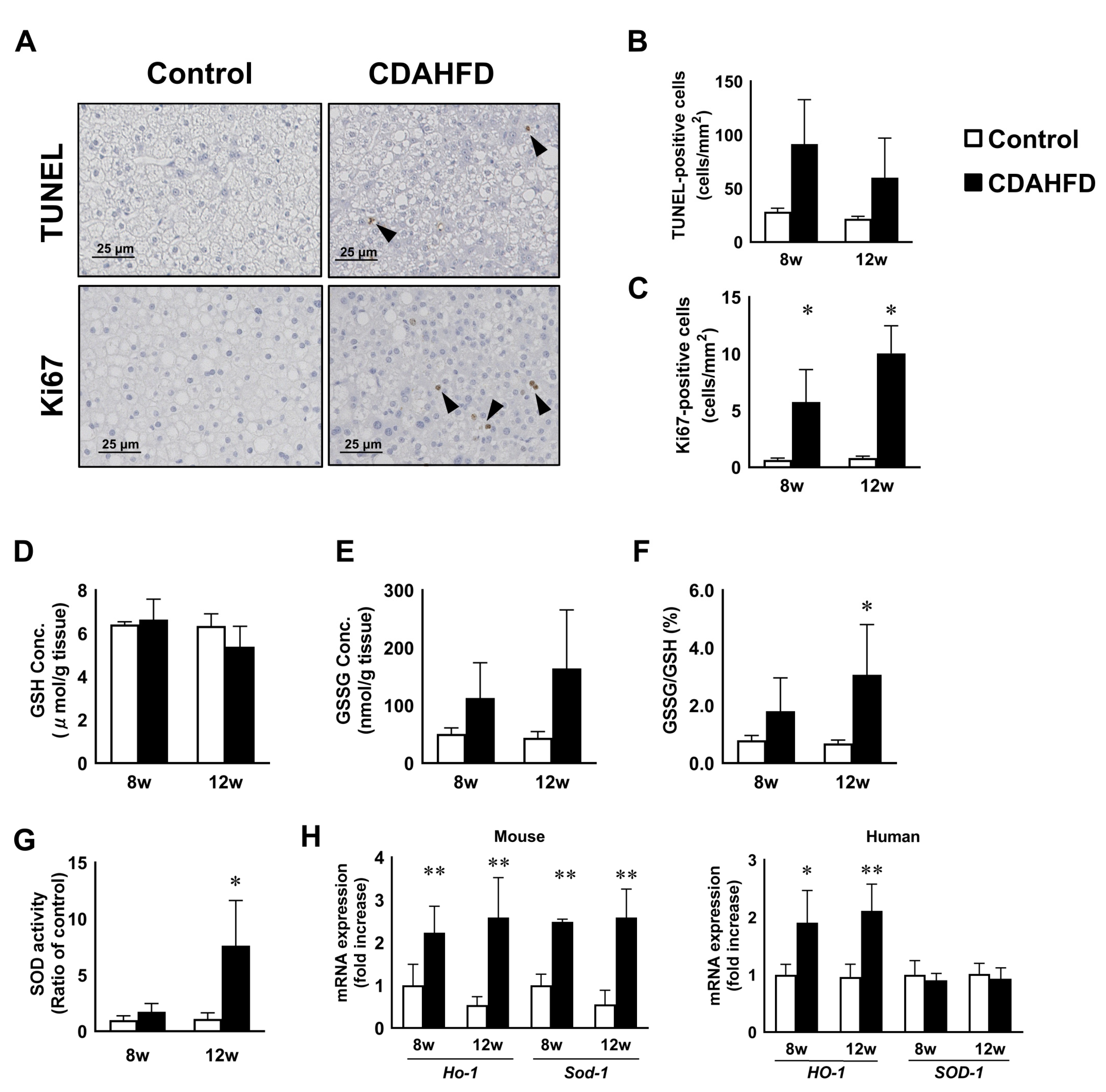 Biomedicines 09 01647 g003