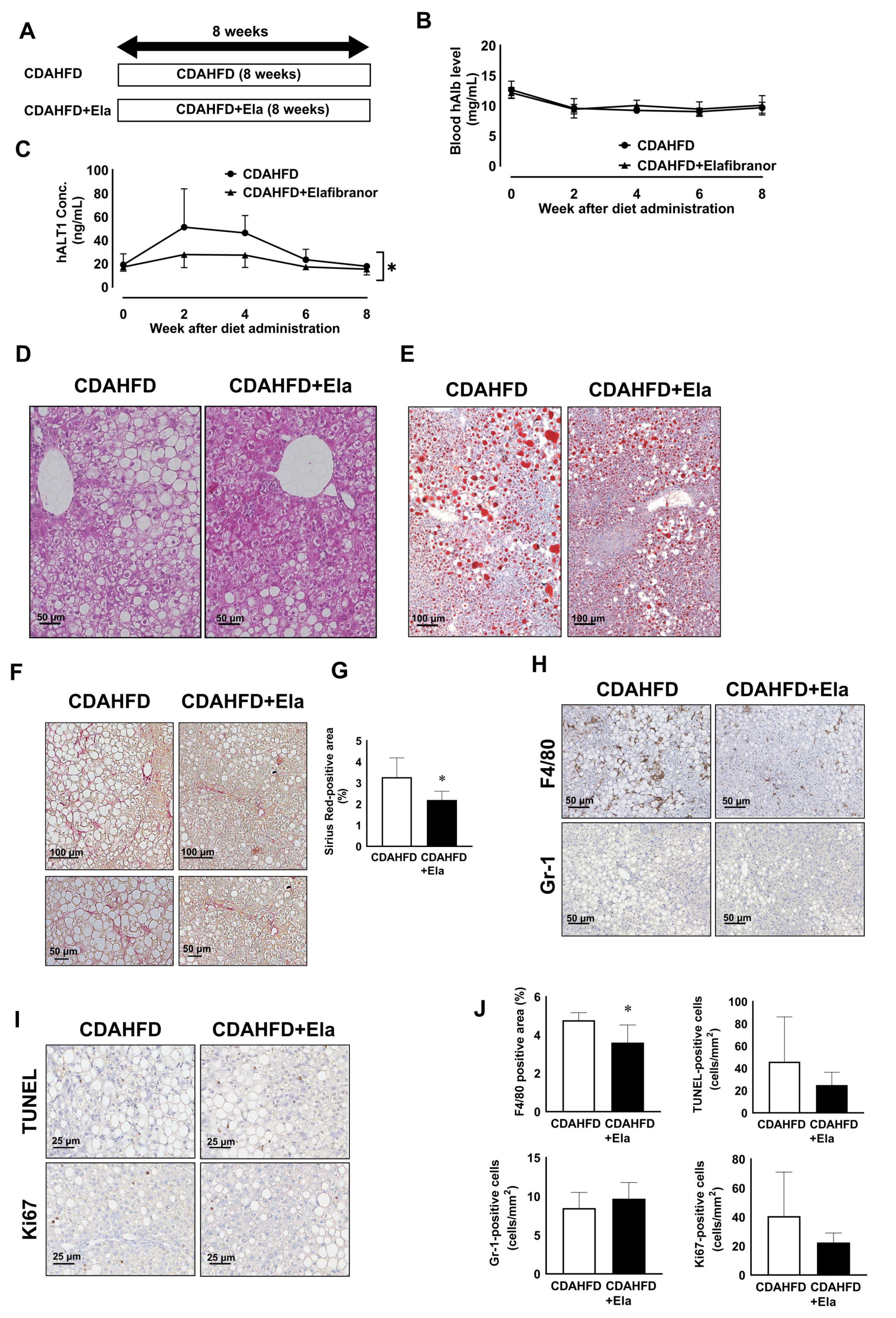 Biomedicines 09 01647 g005