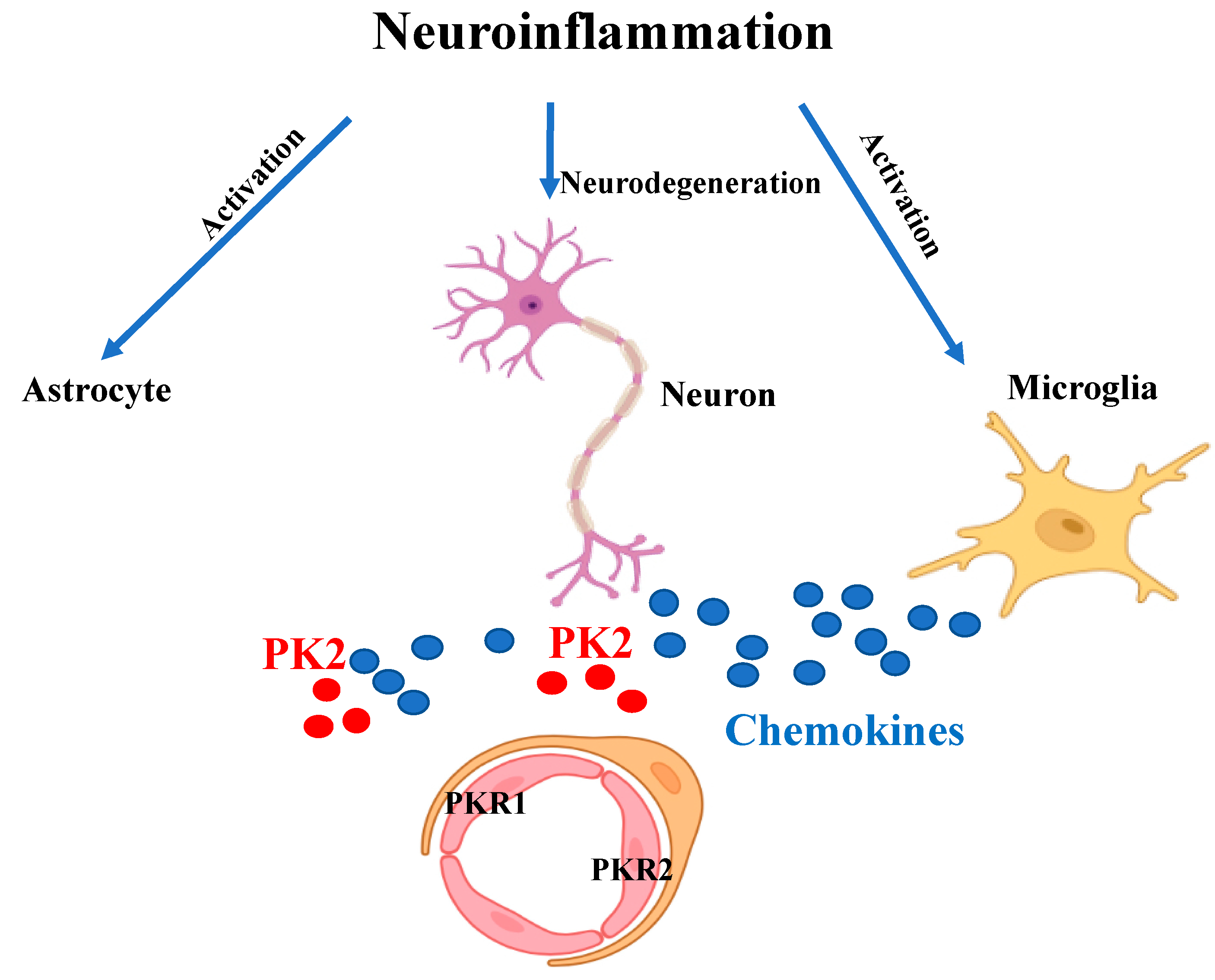 Biomedicines 09 01648 g002 Biomedicines 09 01648 g002