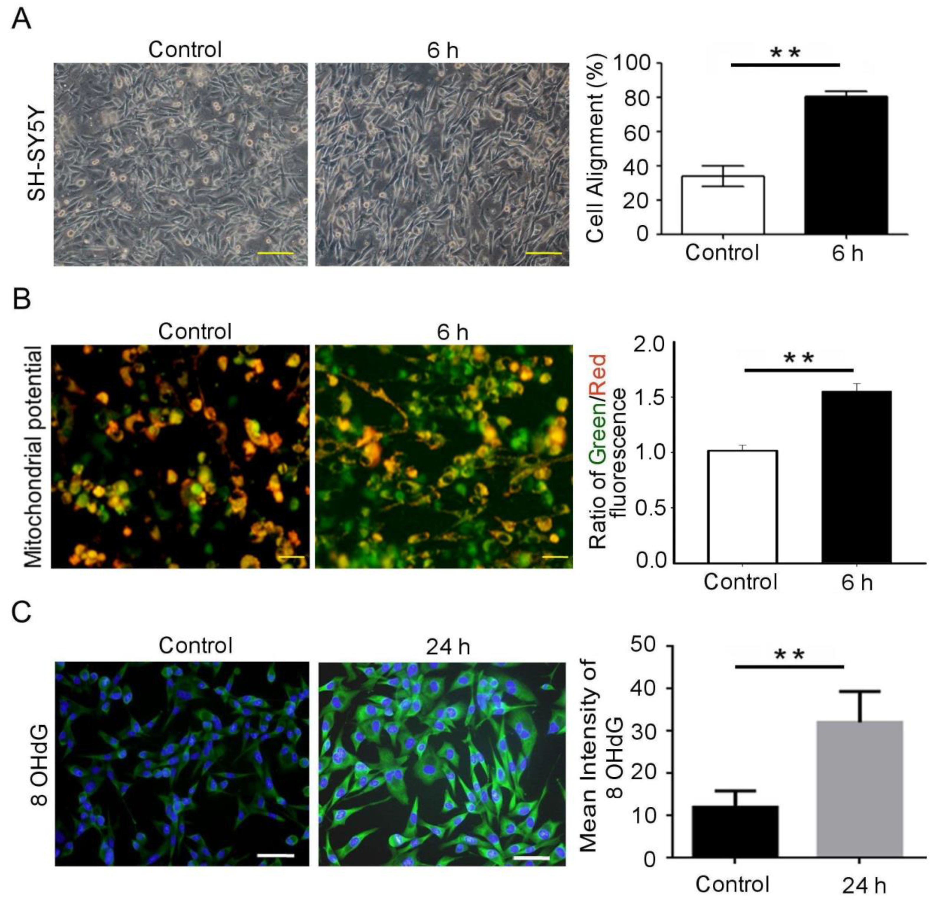 Biomedicines 09 01650 g001a