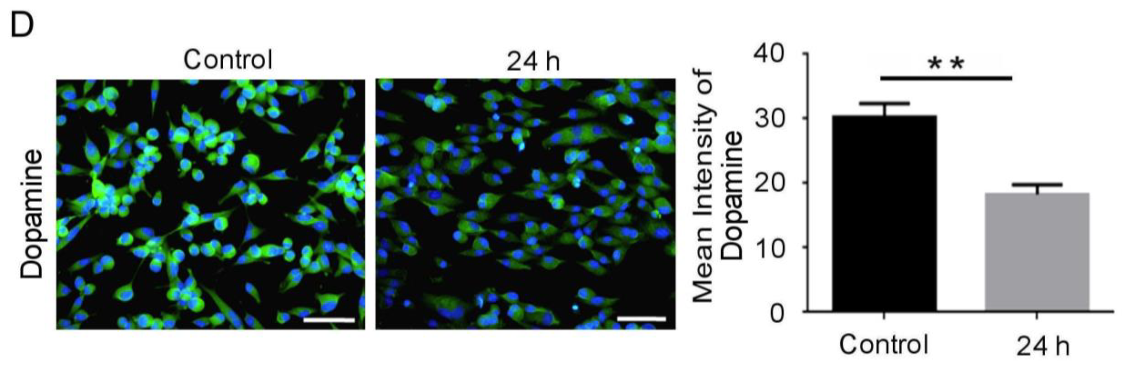 Biomedicines 09 01650 g001b