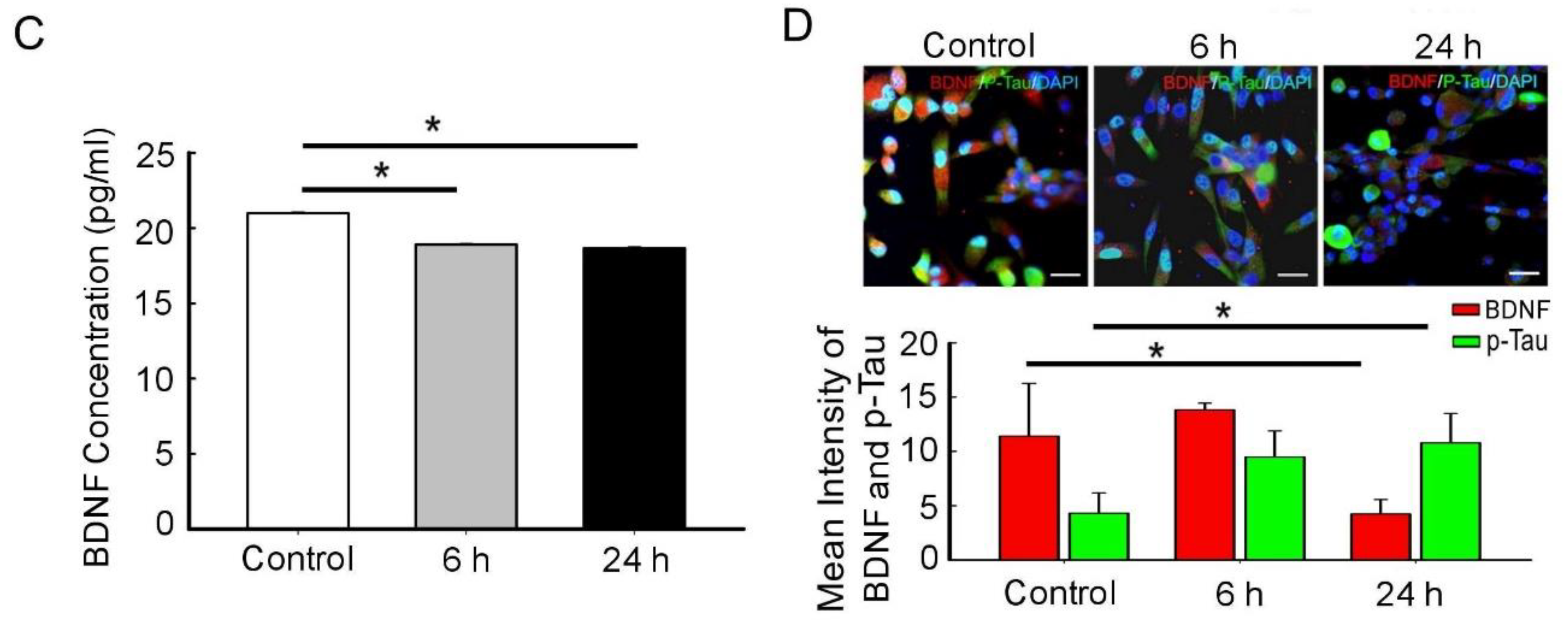 Biomedicines 09 01650 g002b