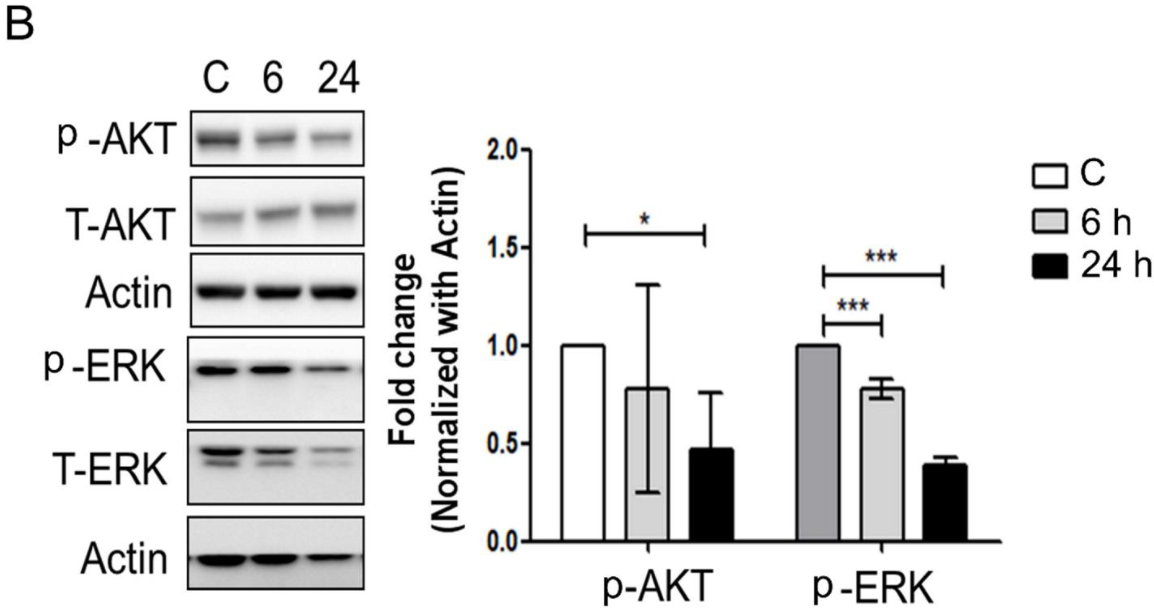 Biomedicines 09 01650 g003b
