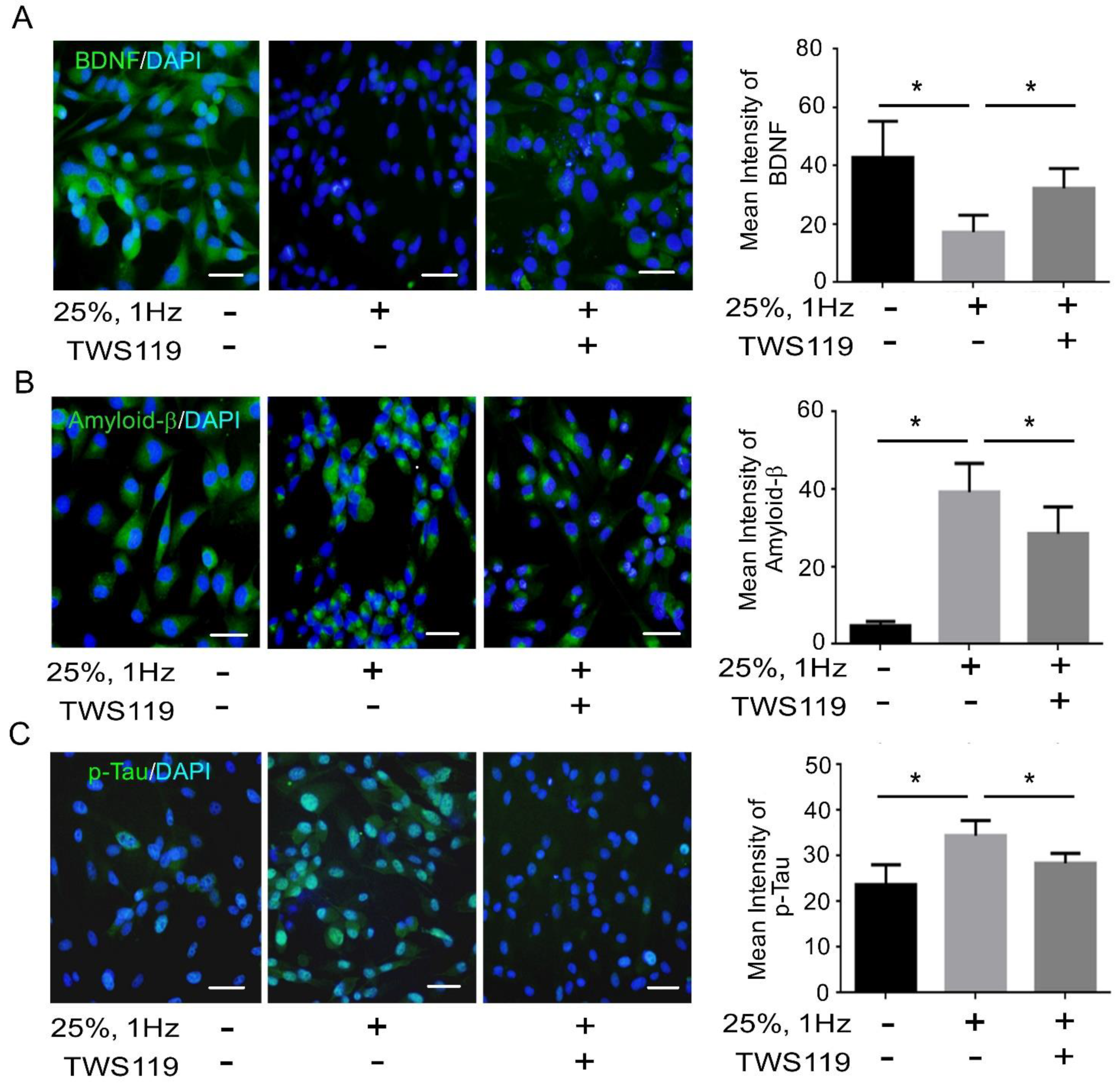 Biomedicines 09 01650 g005