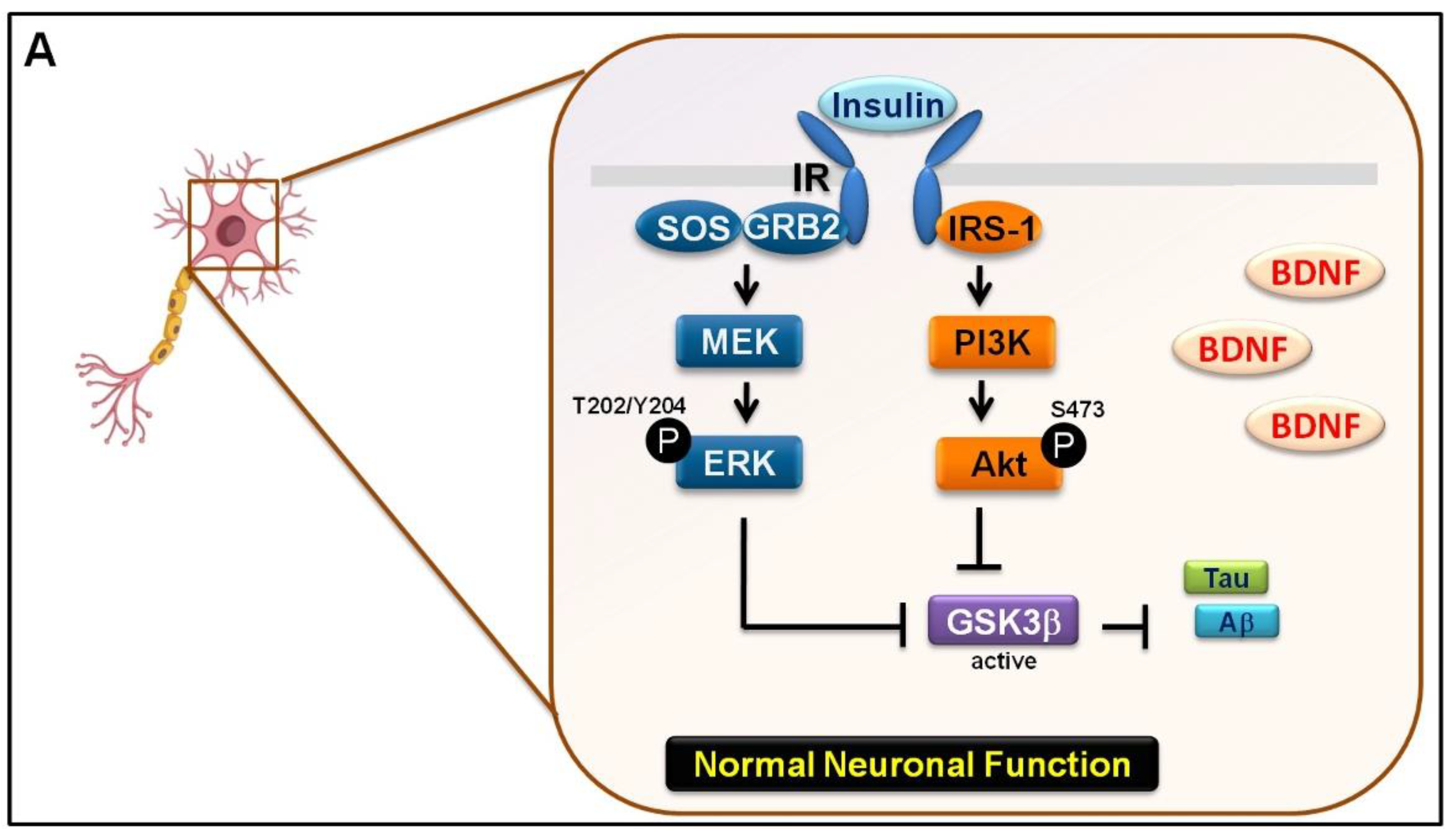 Biomedicines 09 01650 g006a