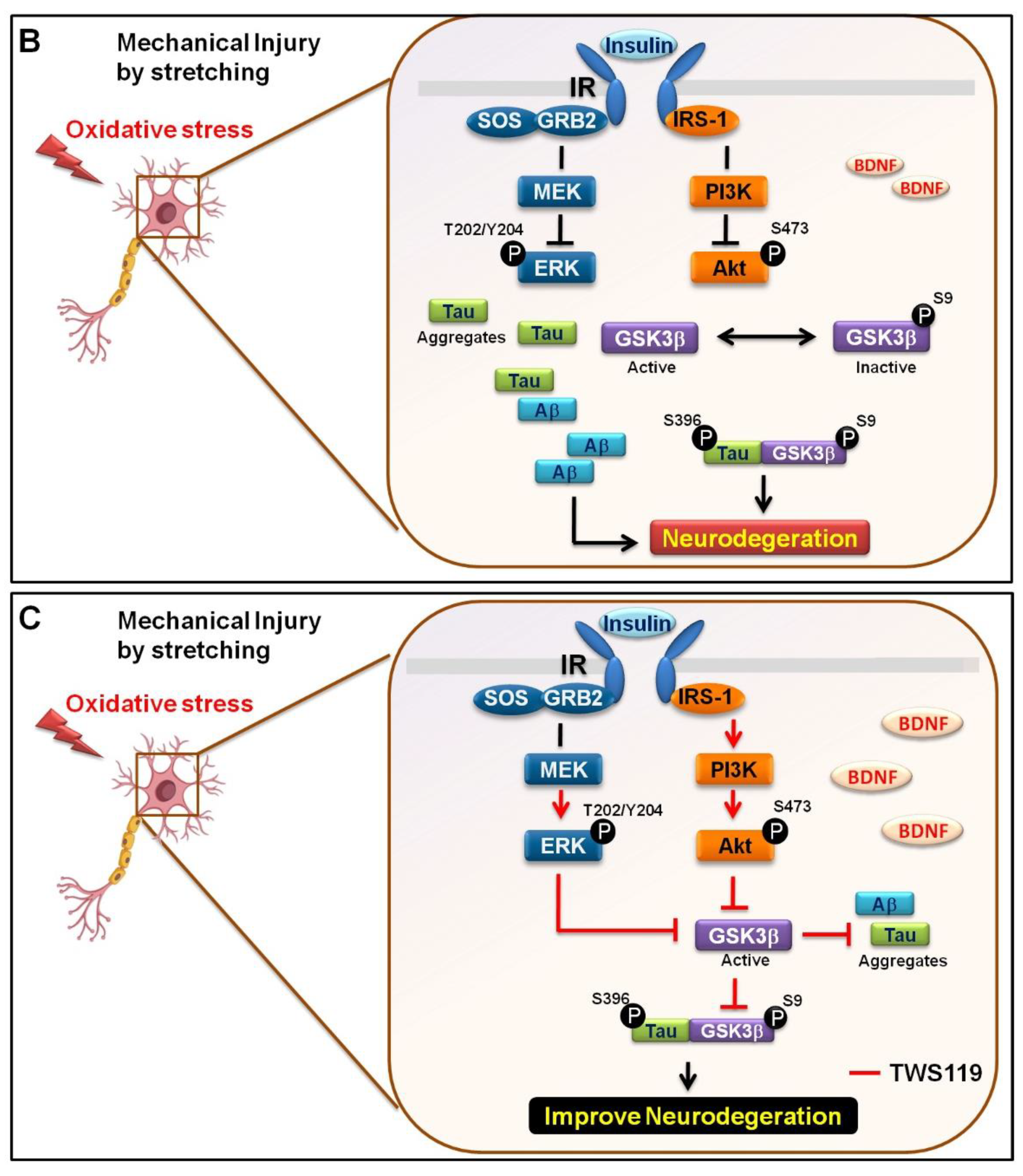 Biomedicines 09 01650 g006b