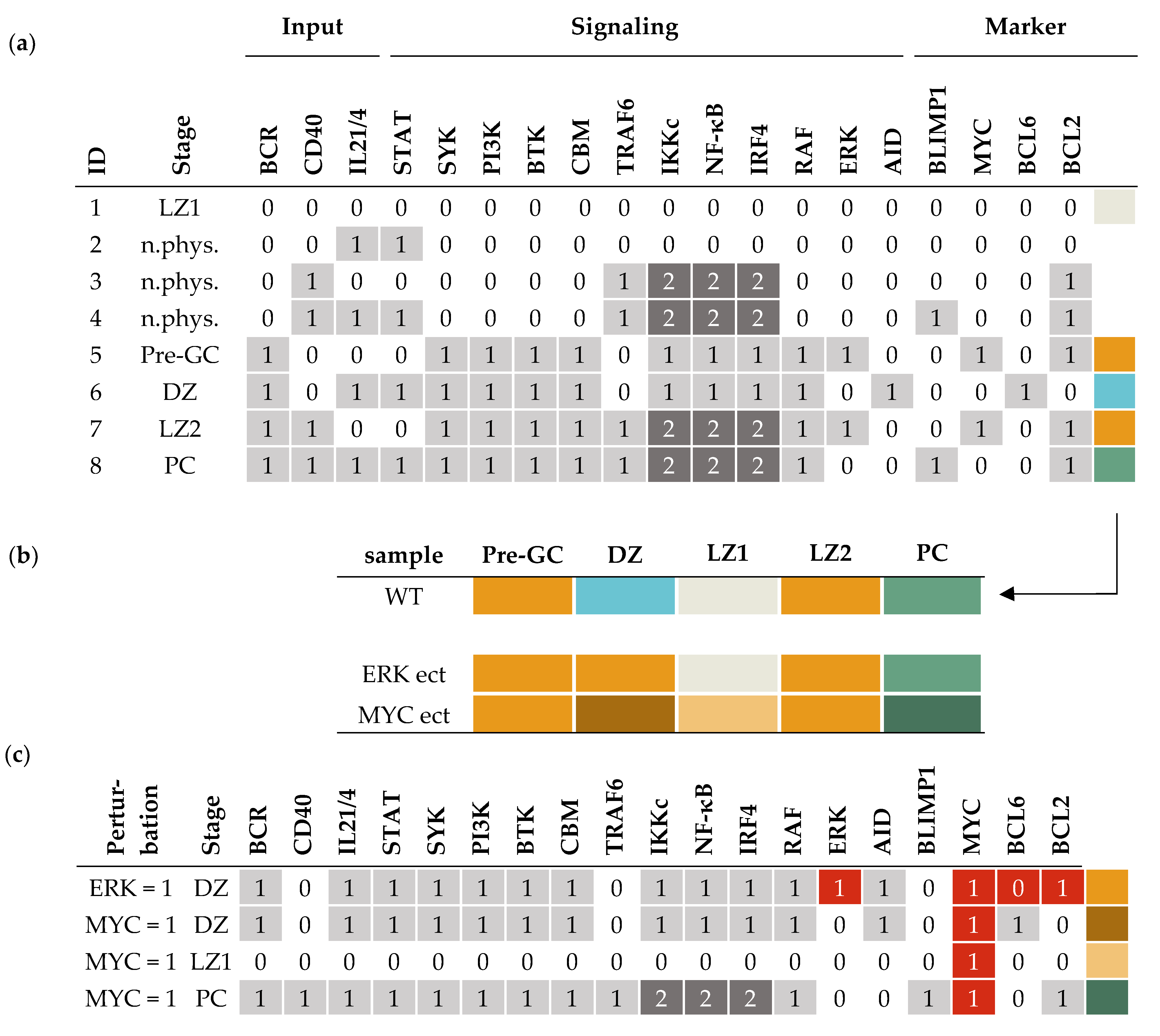 Biomedicines 09 01655 g003