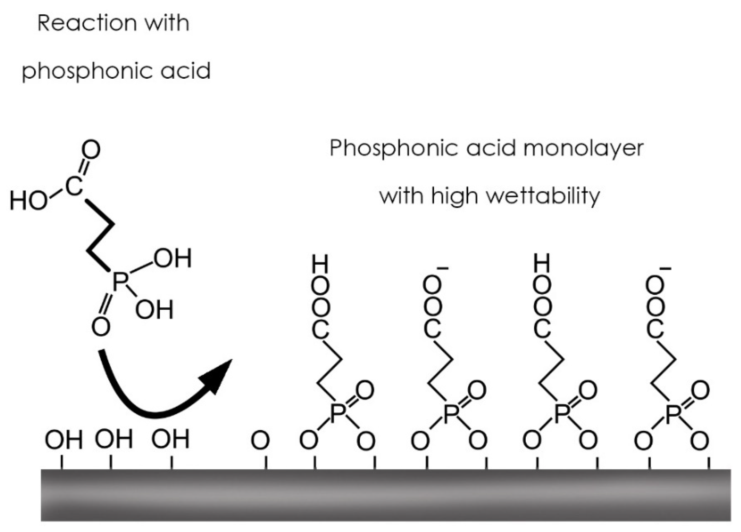 Biomedicines 09 01663 g001