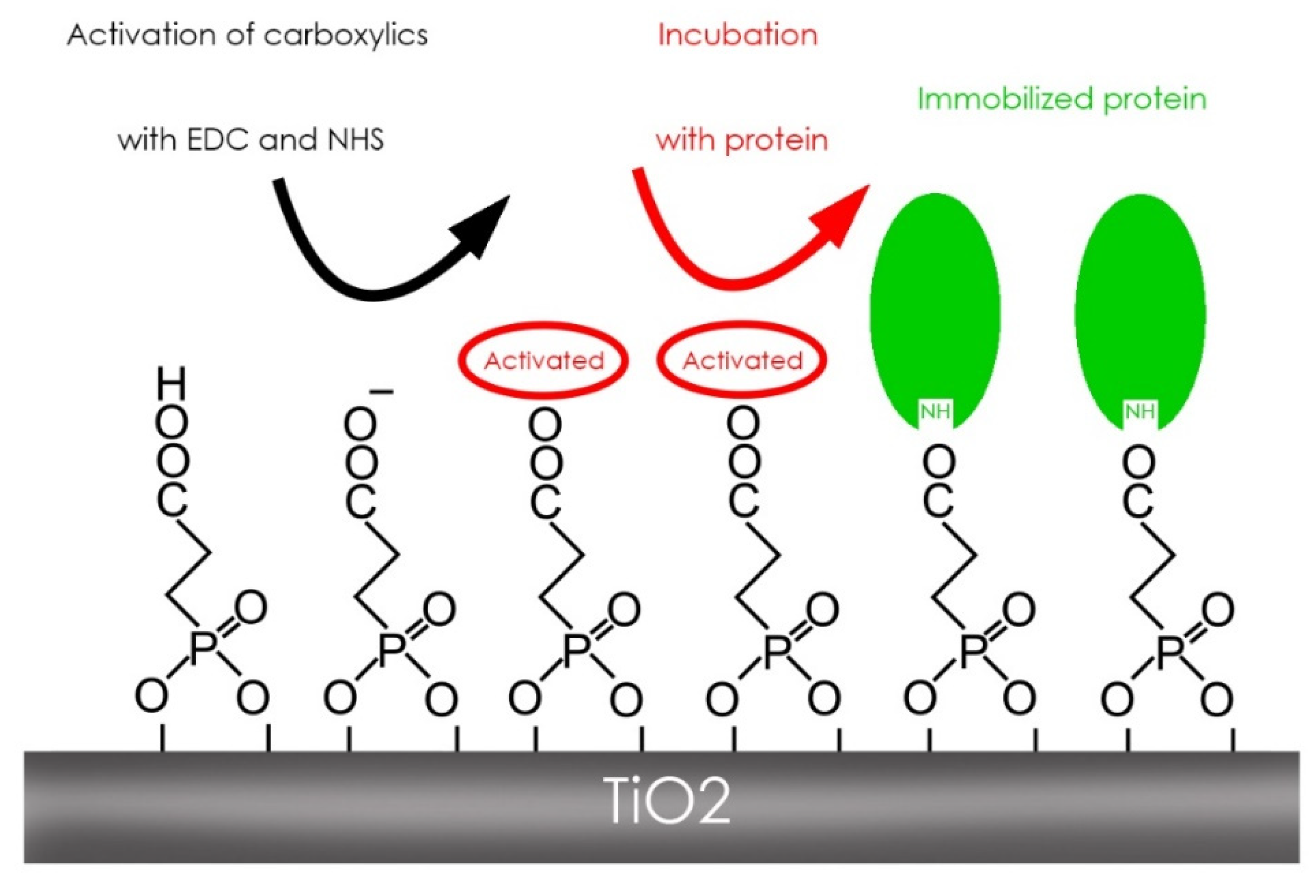 Biomedicines 09 01663 g002