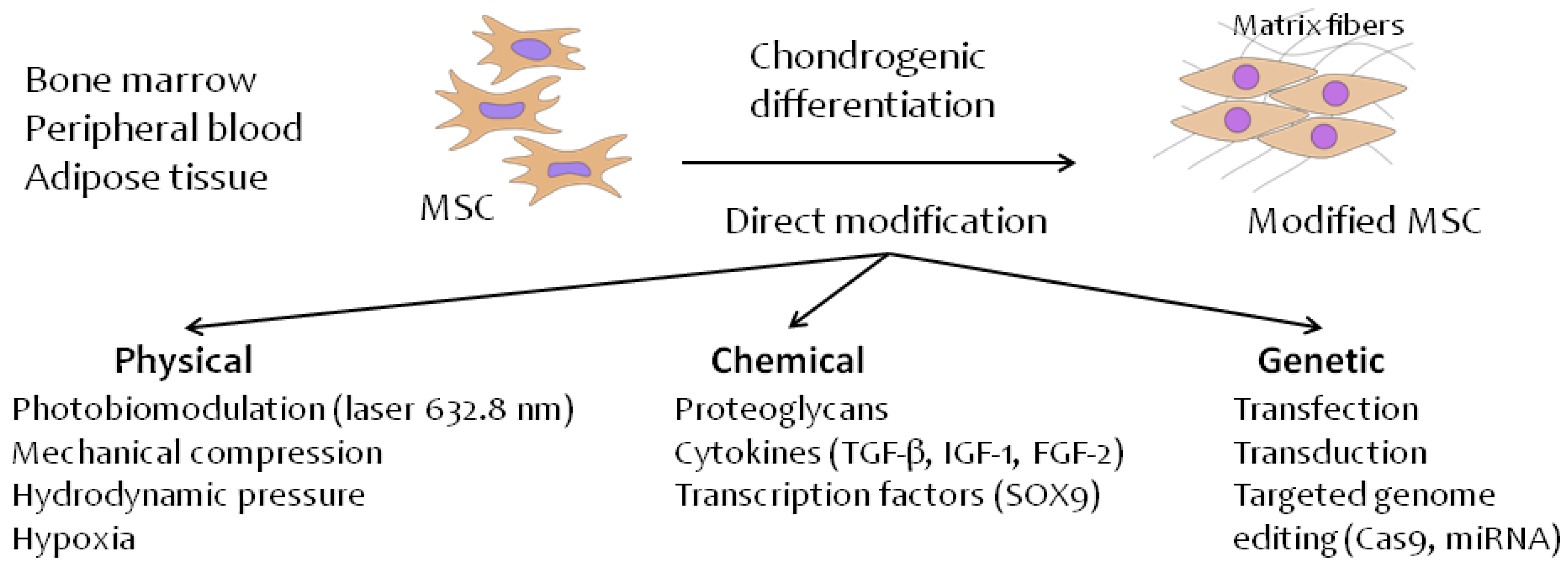 Biomedicines 09 01666 g001 Biomedicines 09 01666 g001