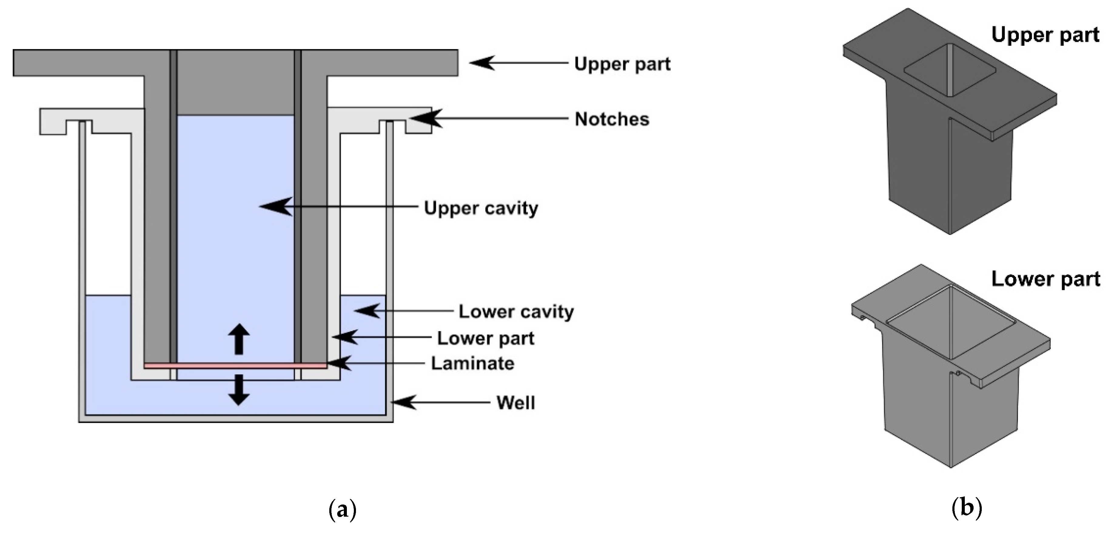 Biomedicines 09 01668 g001 550