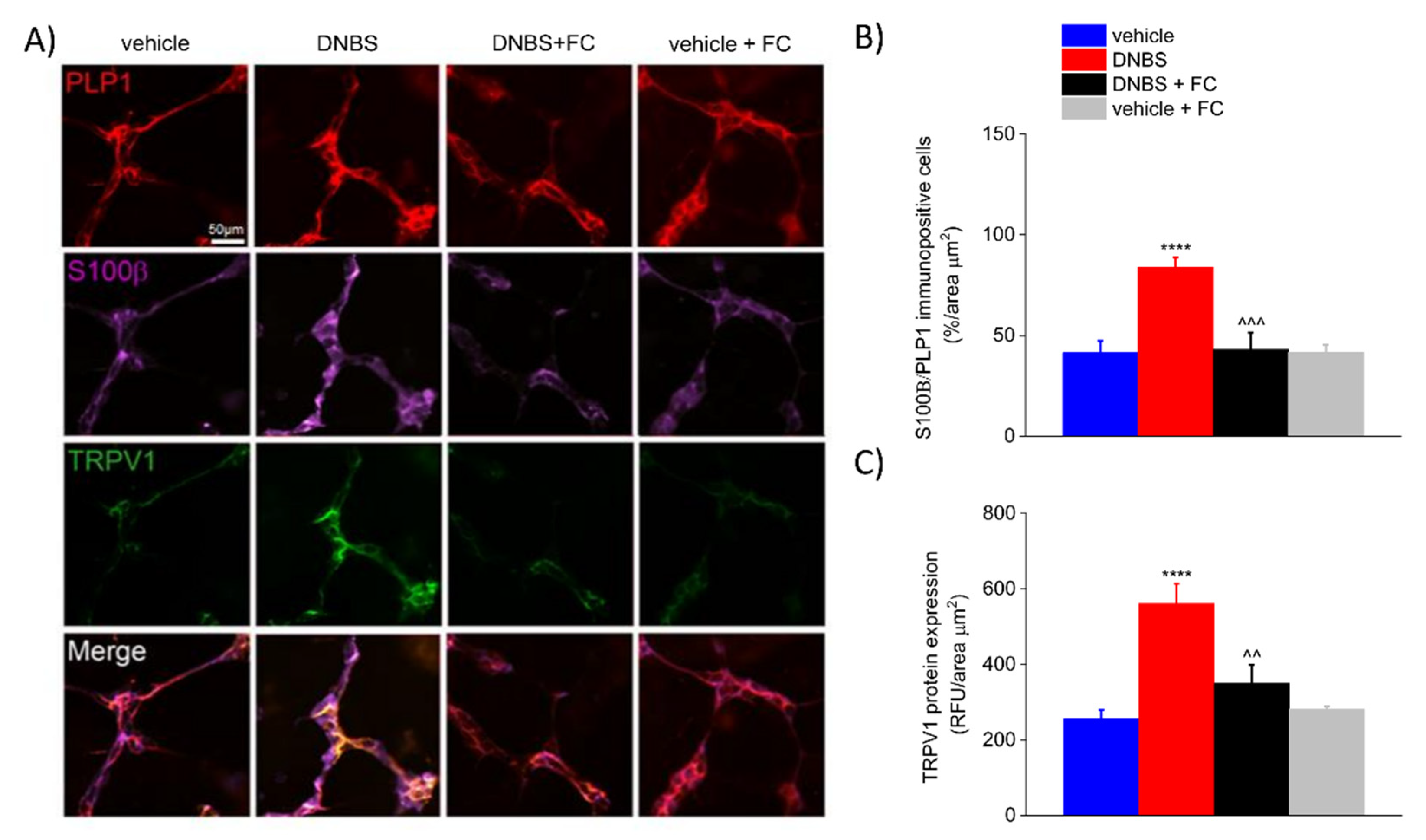 Biomedicines 09 01671 g005