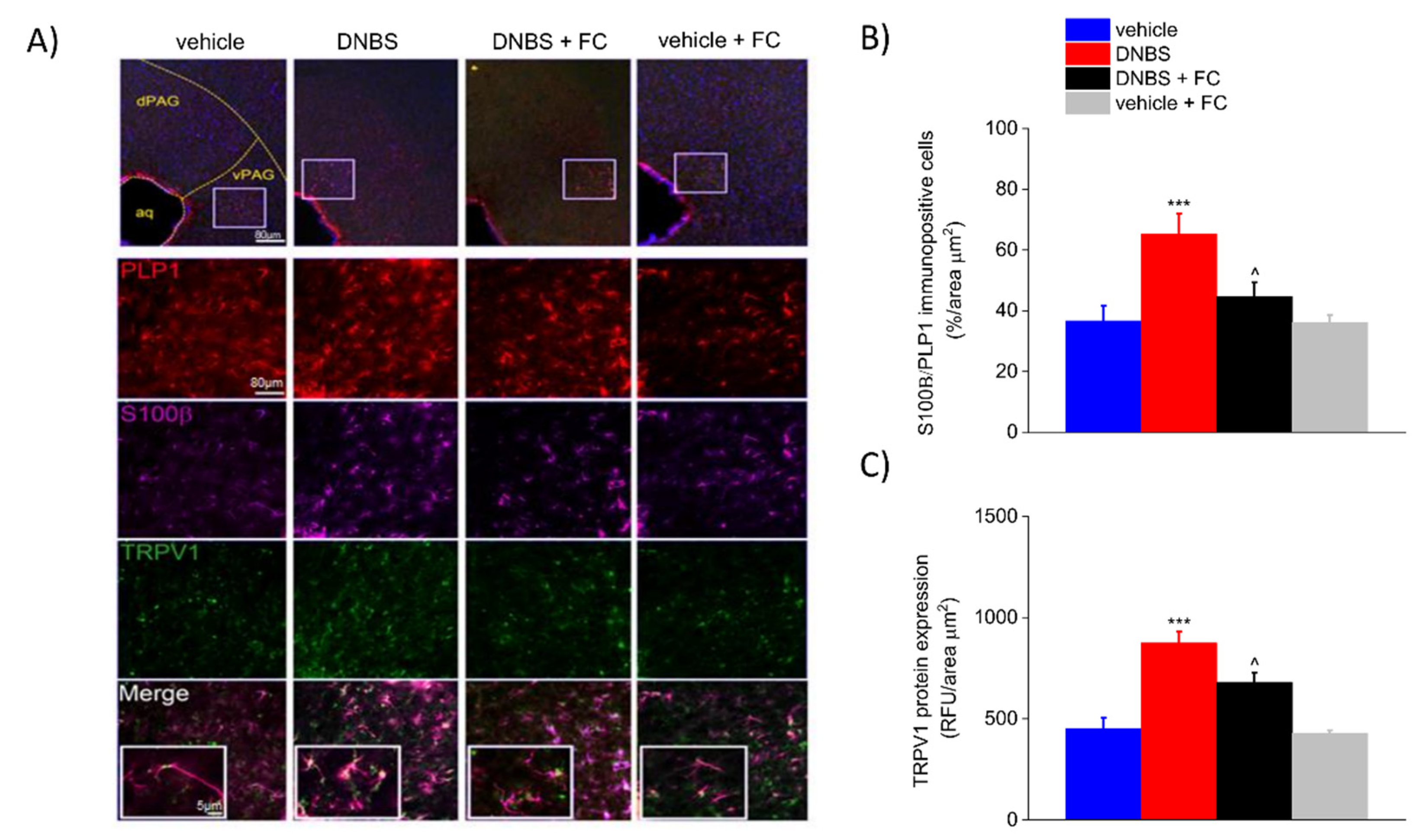 Biomedicines 09 01671 g007
