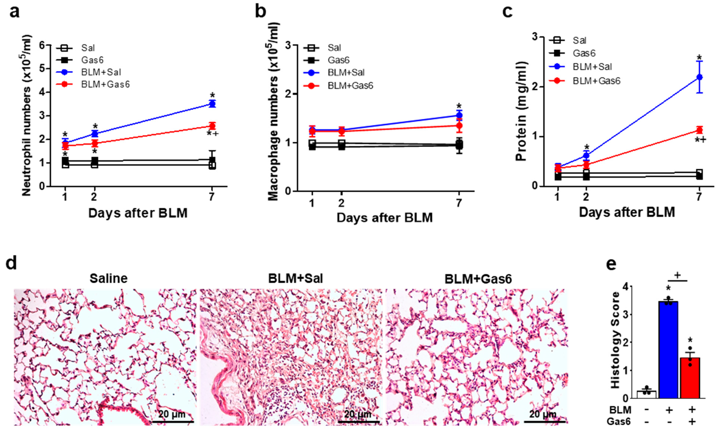 Biomedicines 09 01674 g002