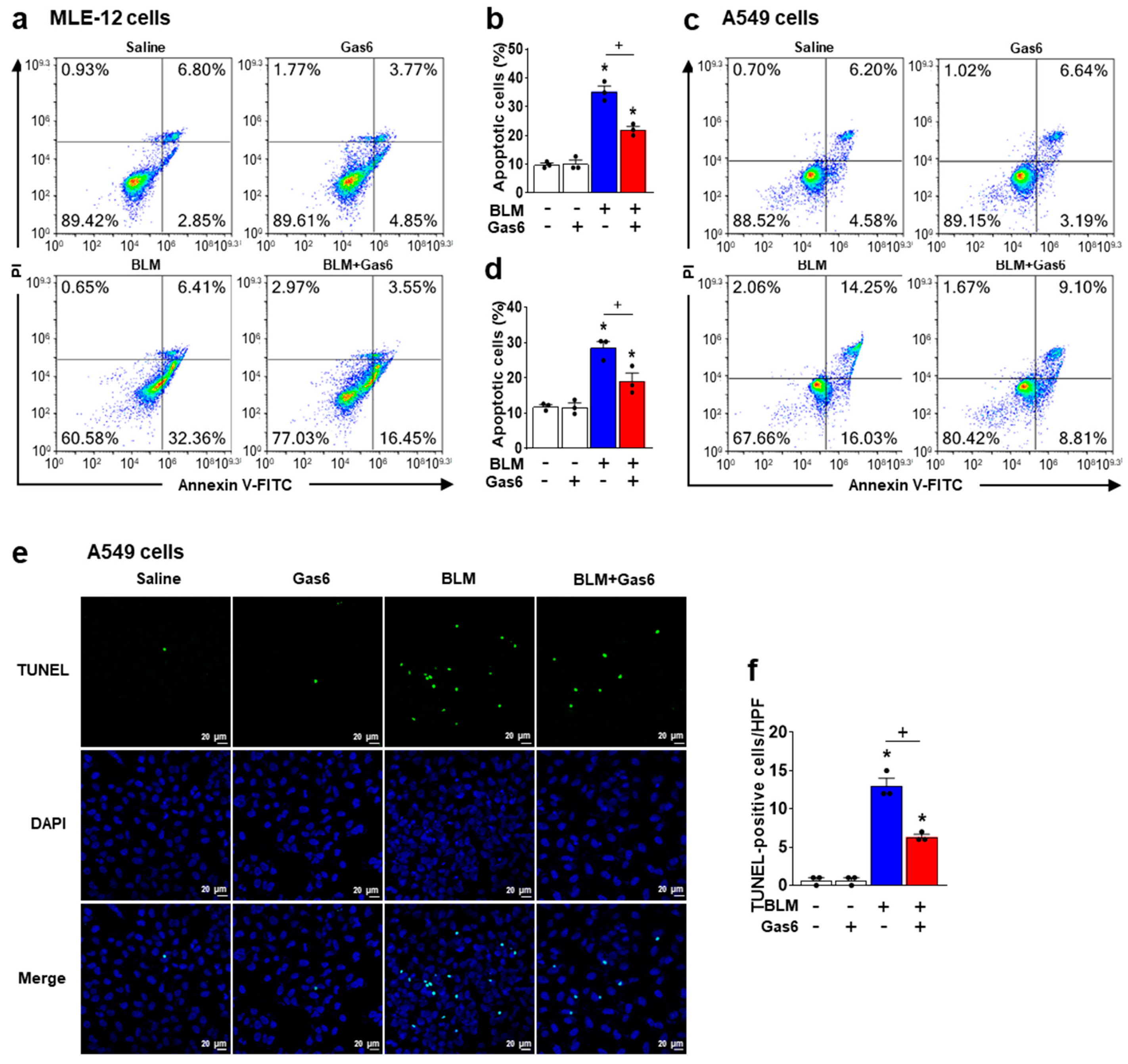 Biomedicines 09 01674 g004