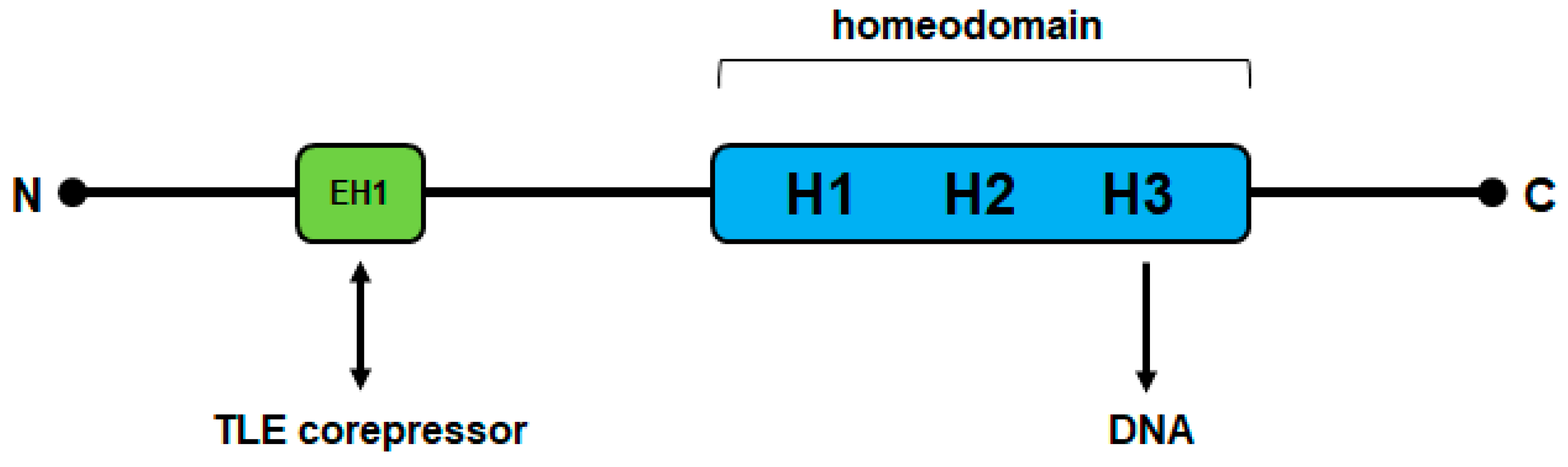 Biomedicines 09 01676 g001
