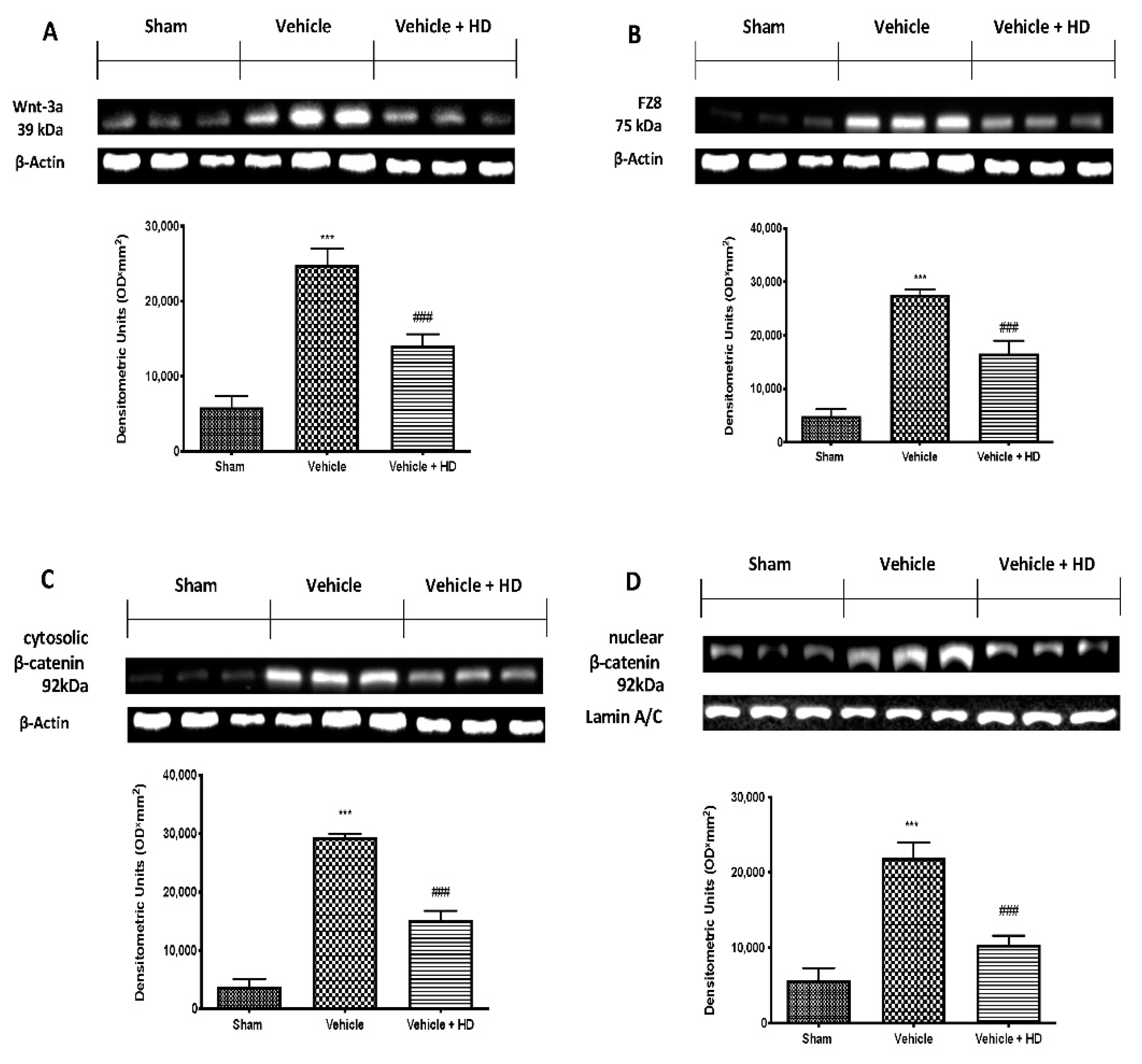 Biomedicines 09 01683 g001 Biomedicines 09 01683 g001