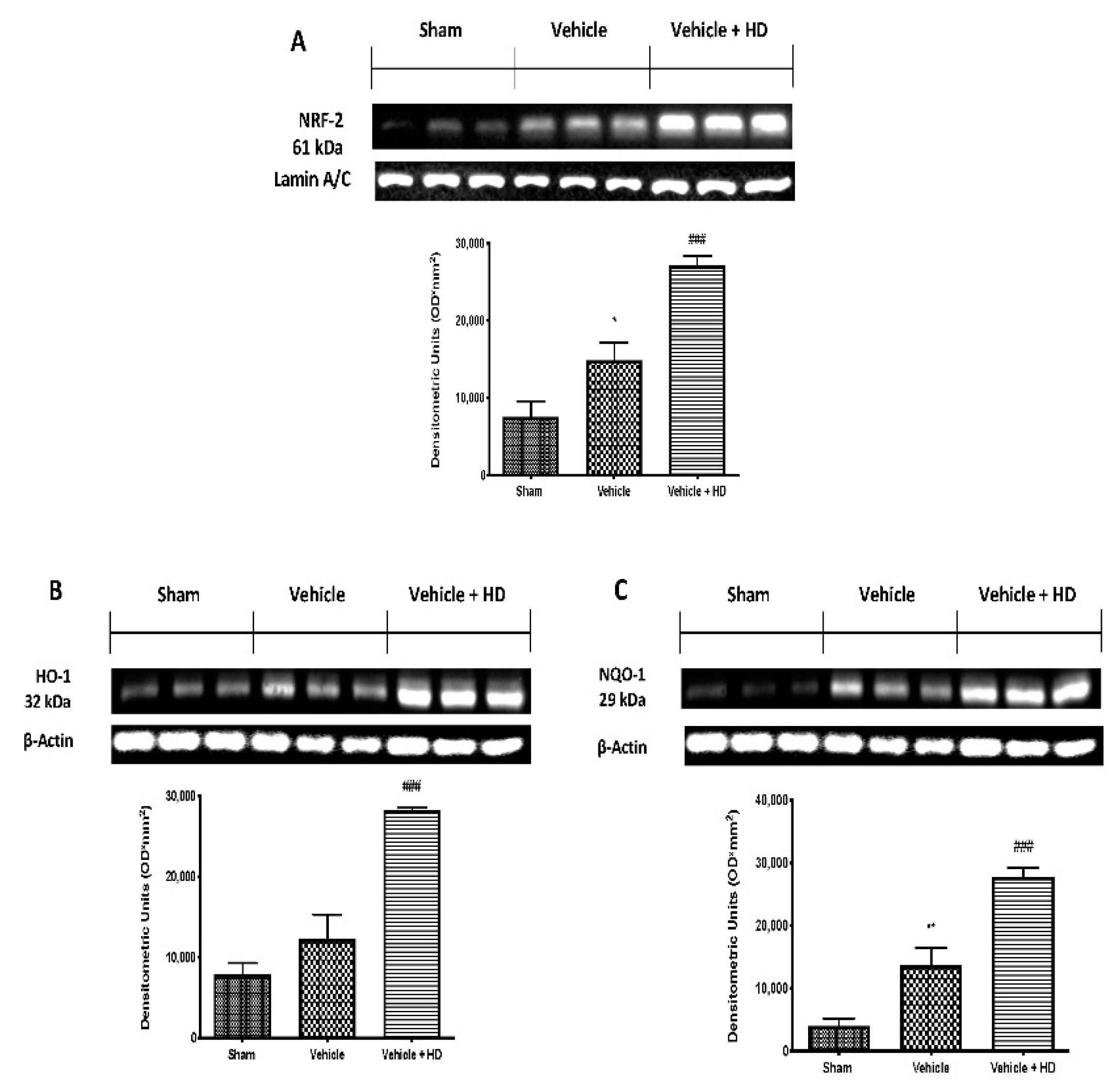 Biomedicines 09 01683 g005 Biomedicines 09 01683 g005