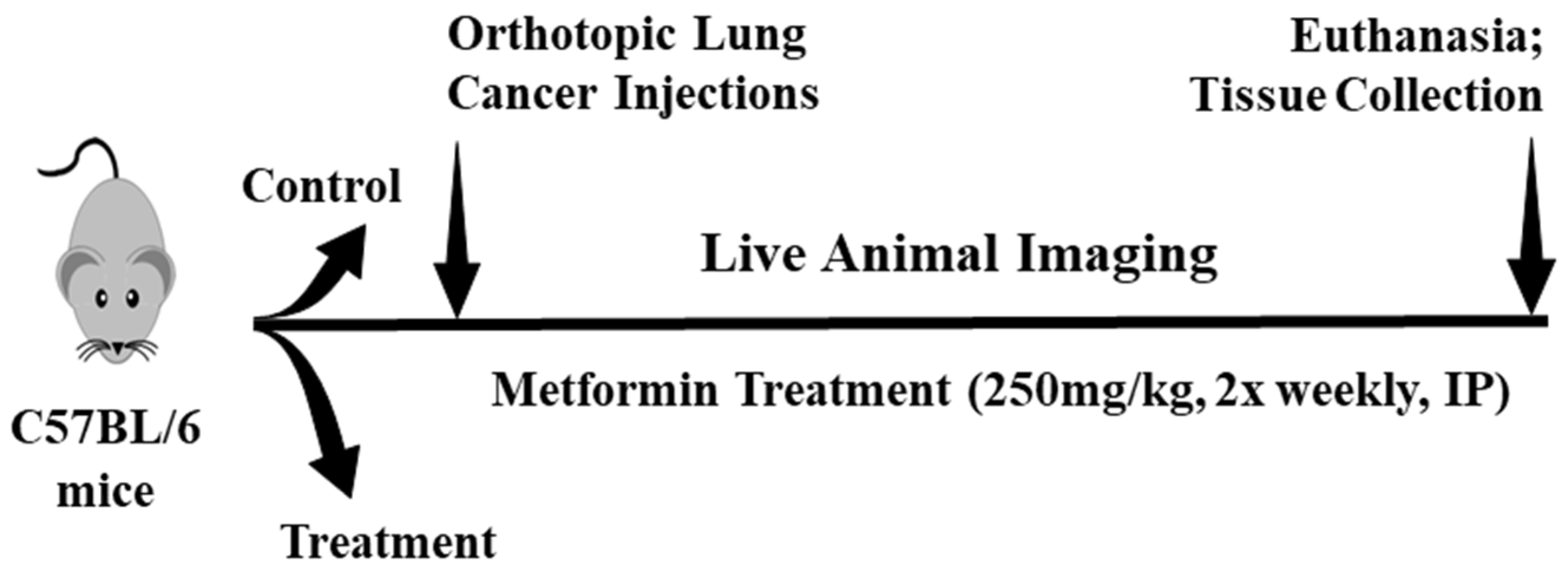 Biomedicines 09 01685 g001 Biomedicines 09 01685 g001