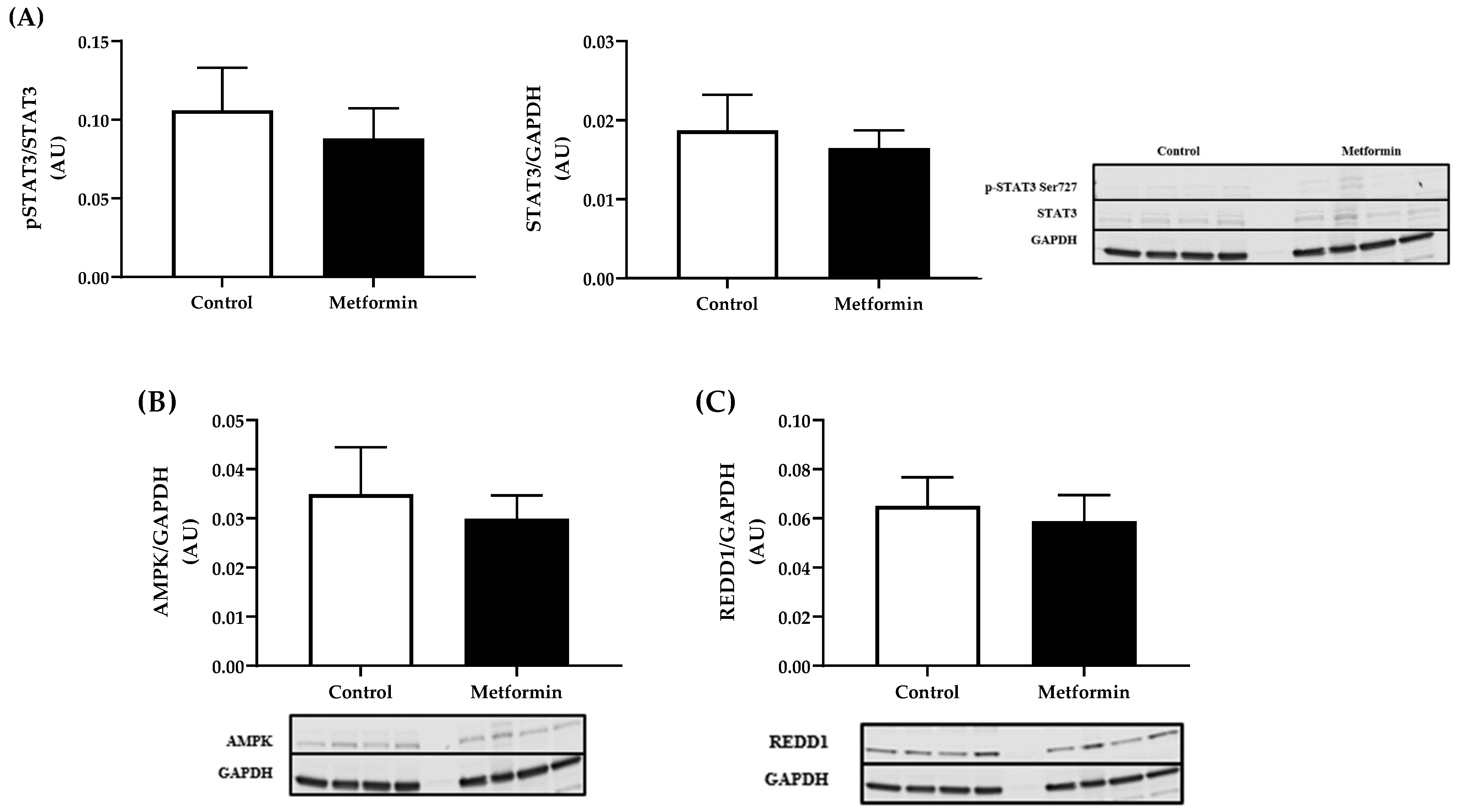 Biomedicines 09 01685 g008 Biomedicines 09 01685 g008
