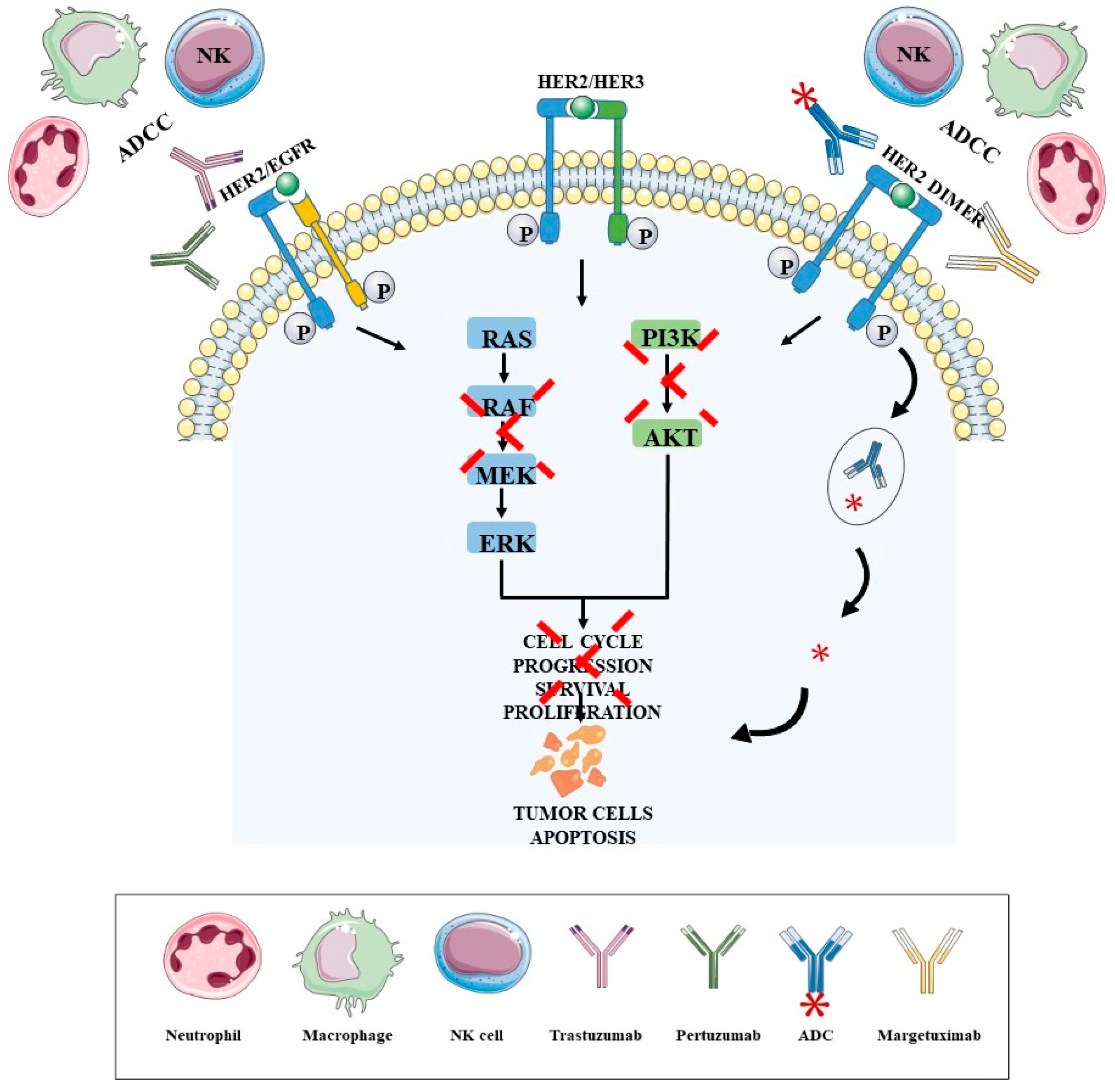 Biomedicines 09 01687 g001 550