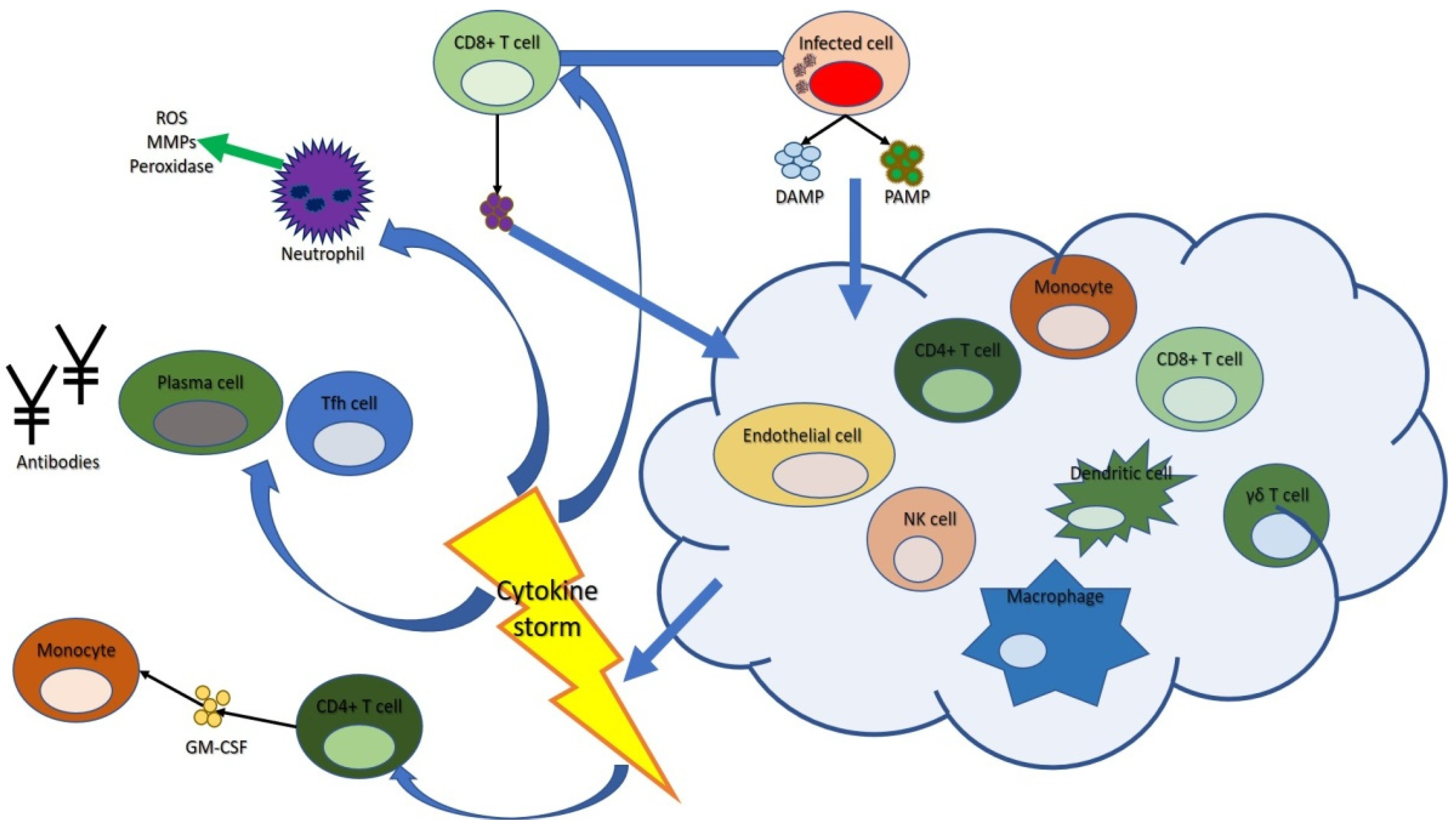 Biomedicines 09 01688 g003 Biomedicines 09 01688 g003