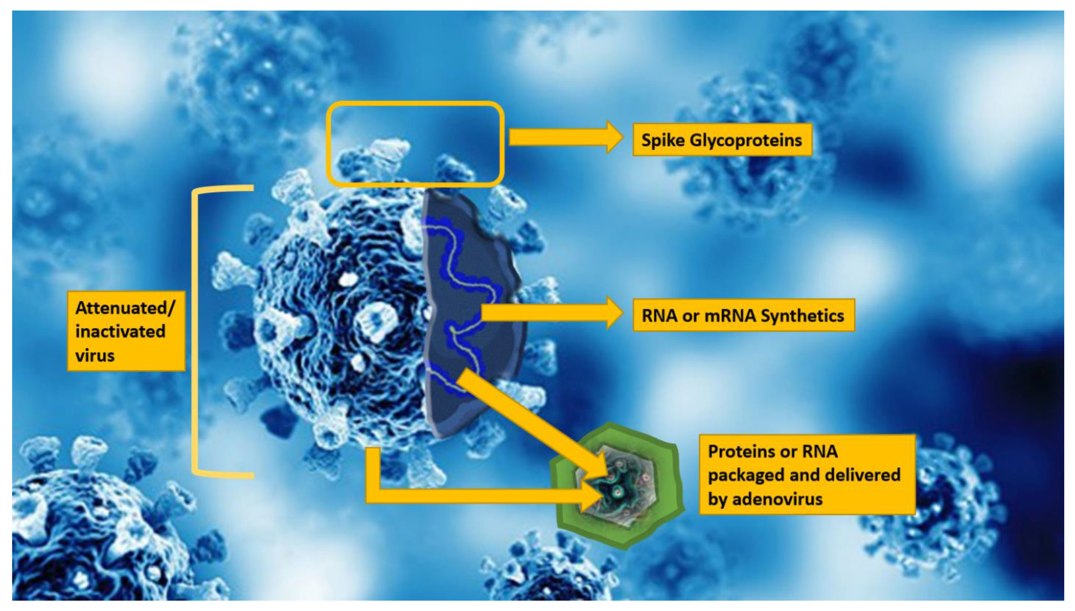 Biomedicines 09 01690 g001