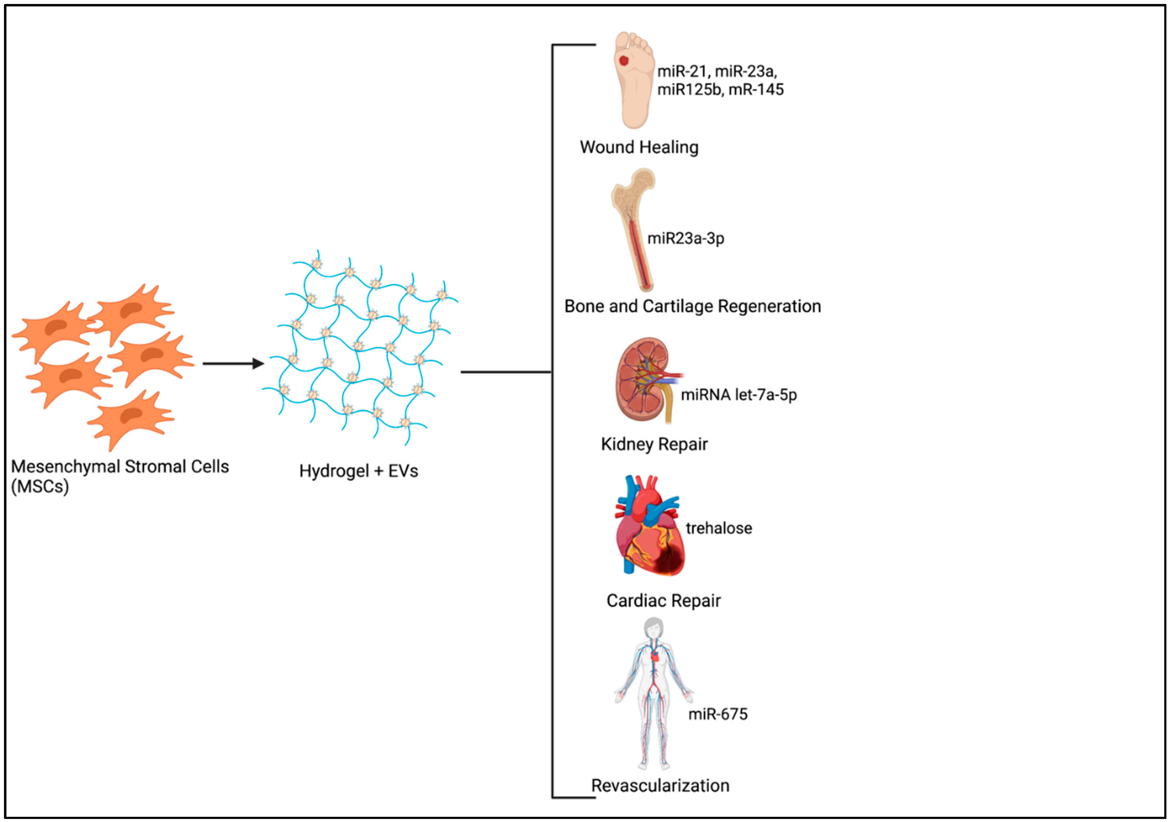 New advances in the use of infrared absorption spectroscopy