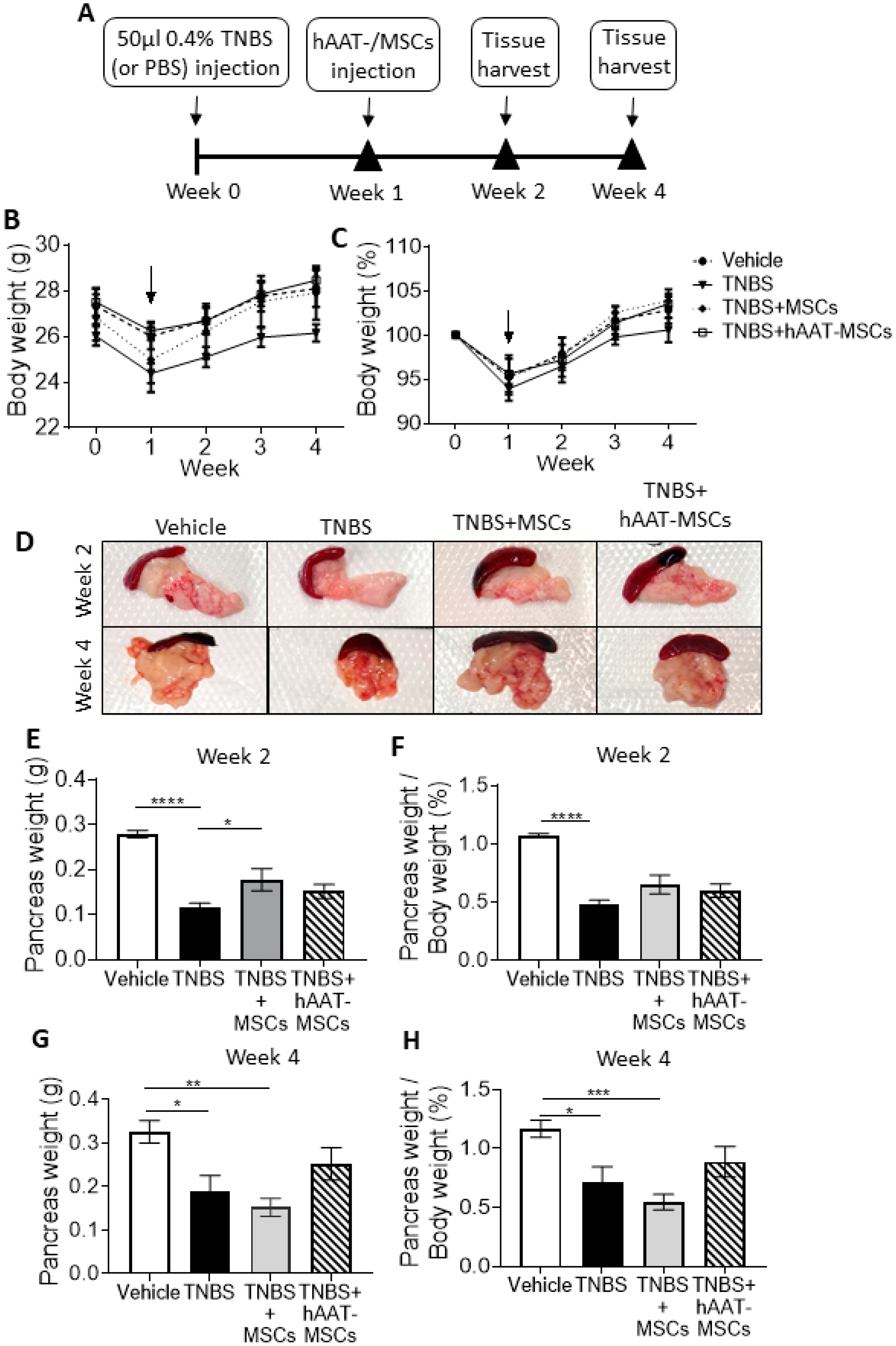 Biomedicines 09 01695 g001