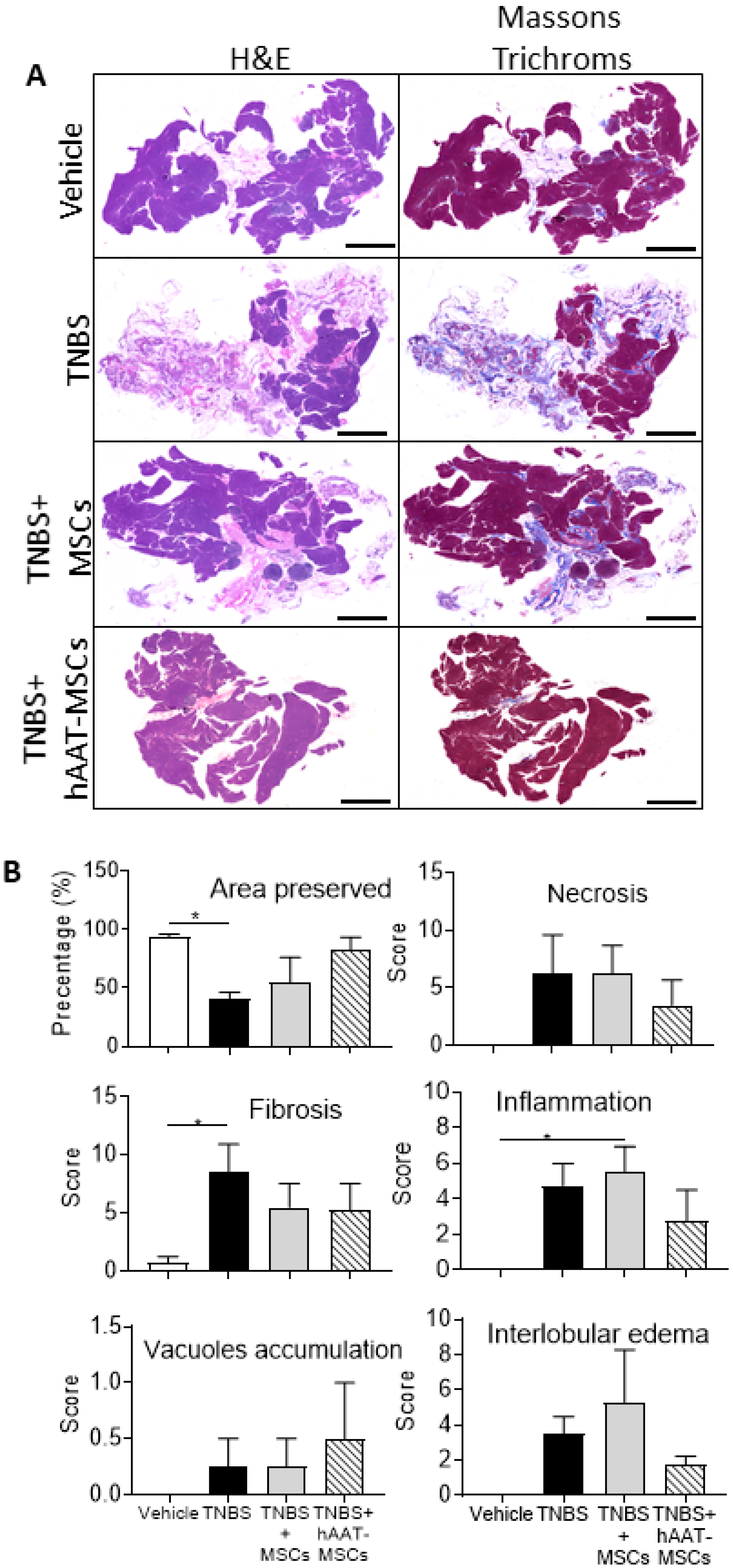 Biomedicines 09 01695 g002