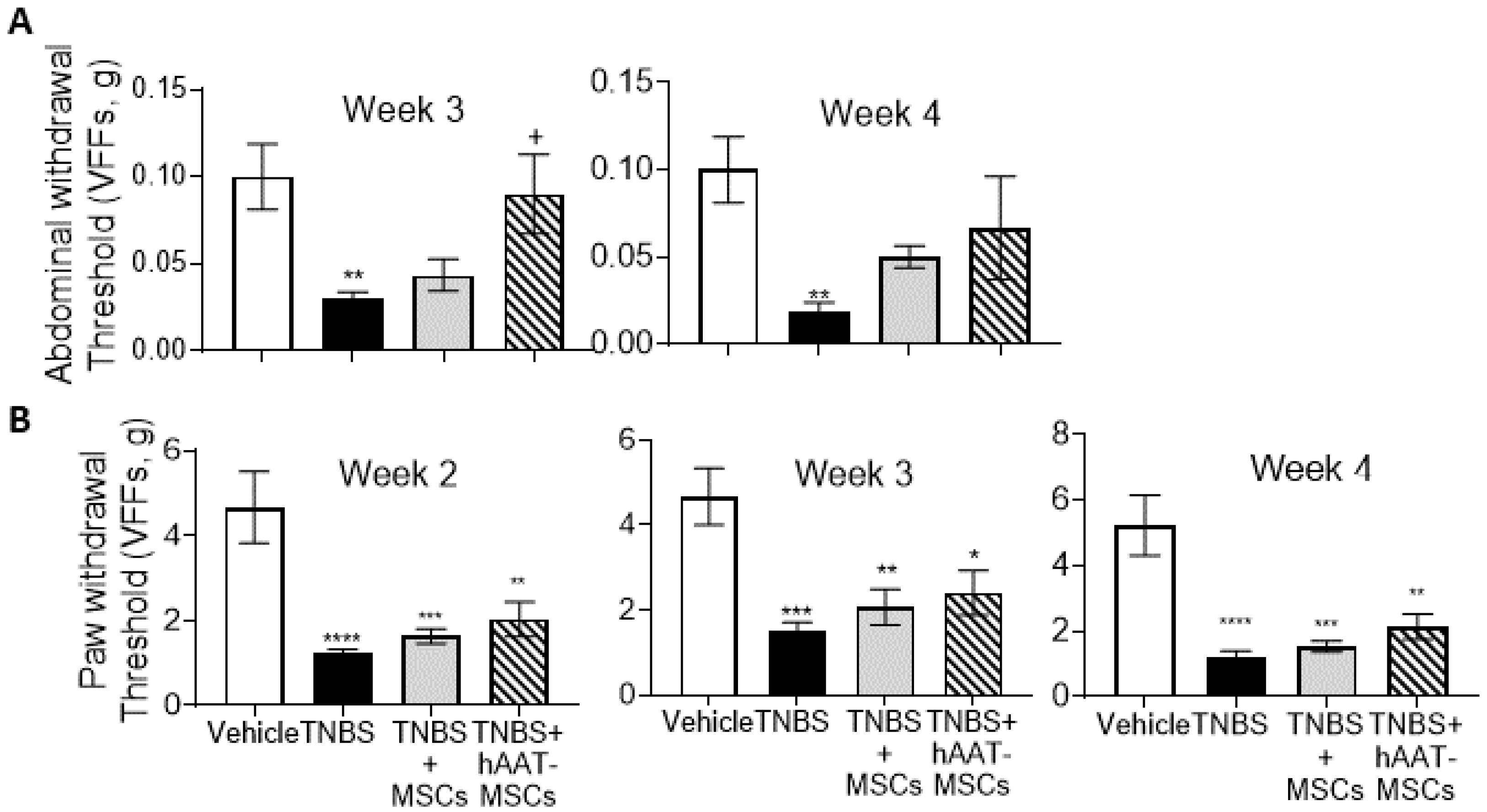 Biomedicines 09 01695 g003