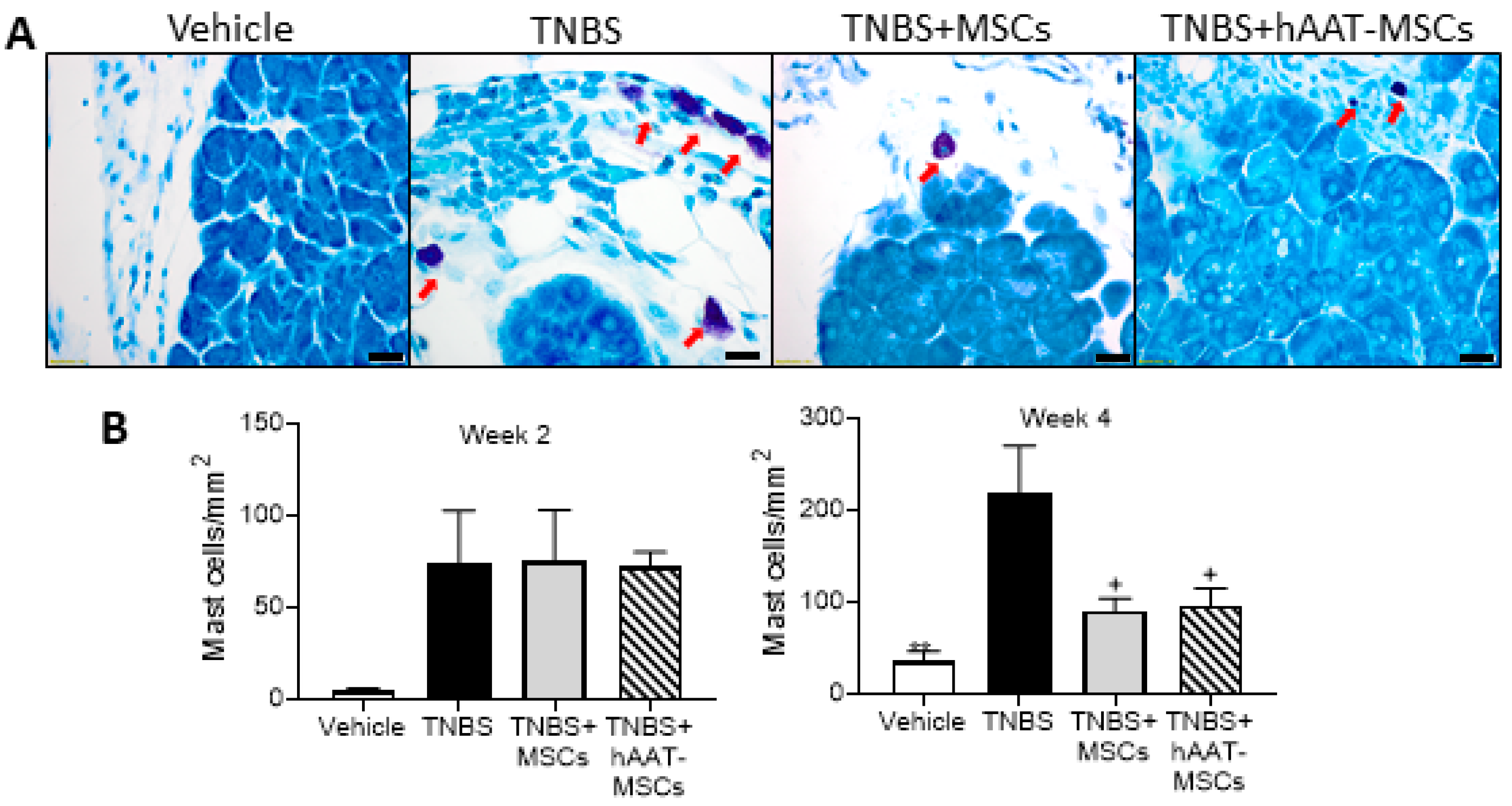 Biomedicines 09 01695 g005