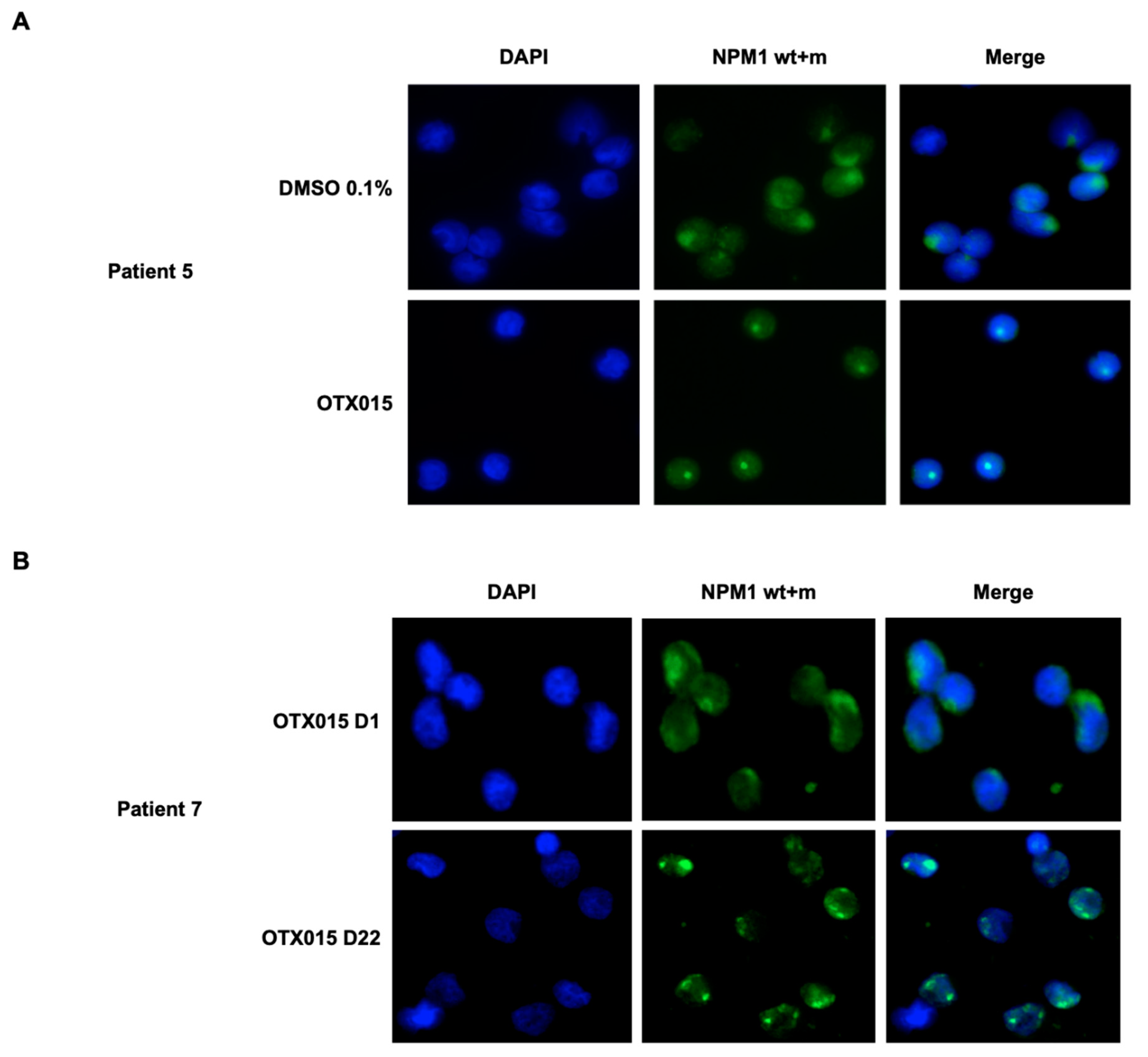 Biomedicines 09 01704 g006 550