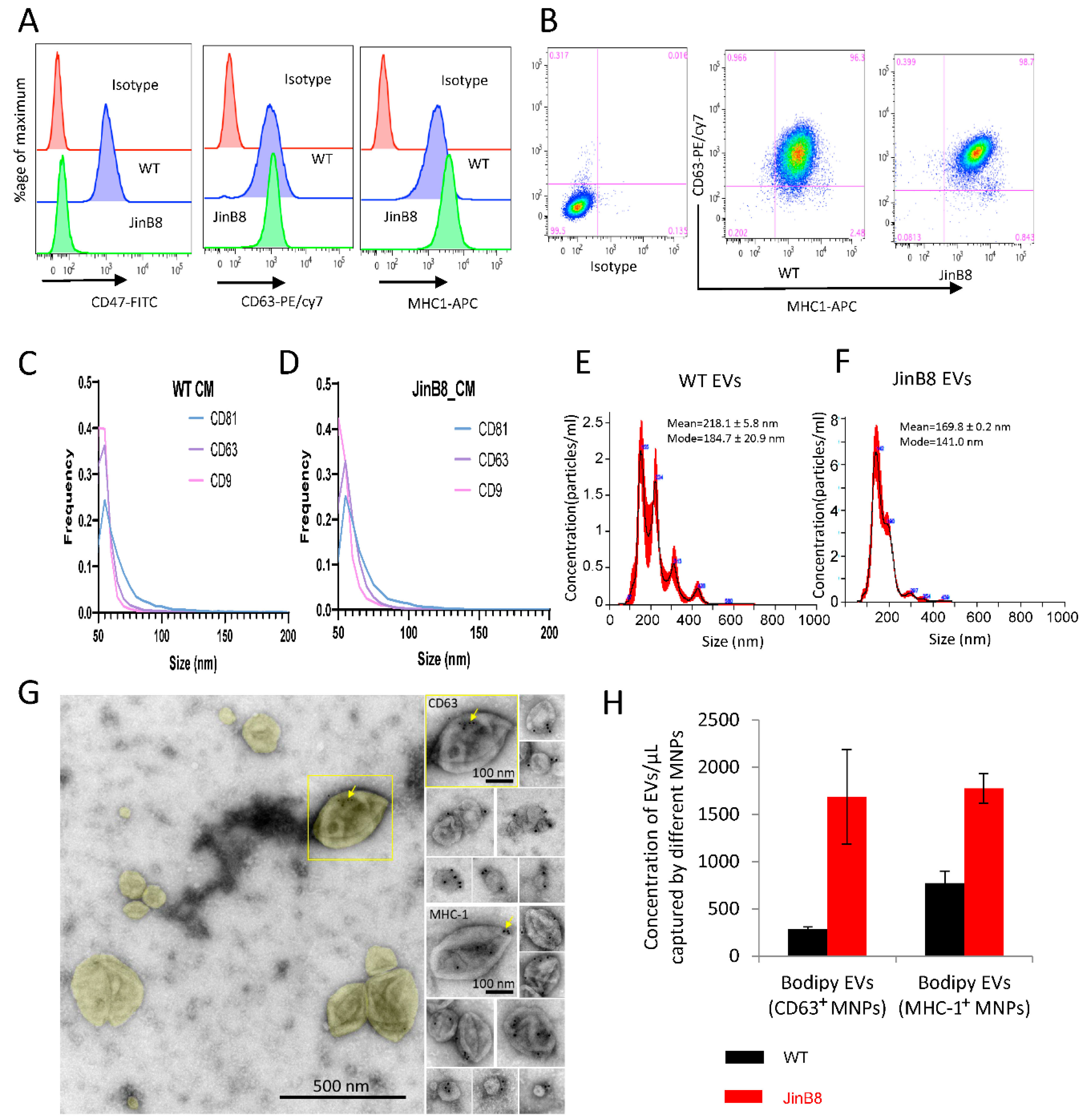 Biomedicines 09 01705 g001
