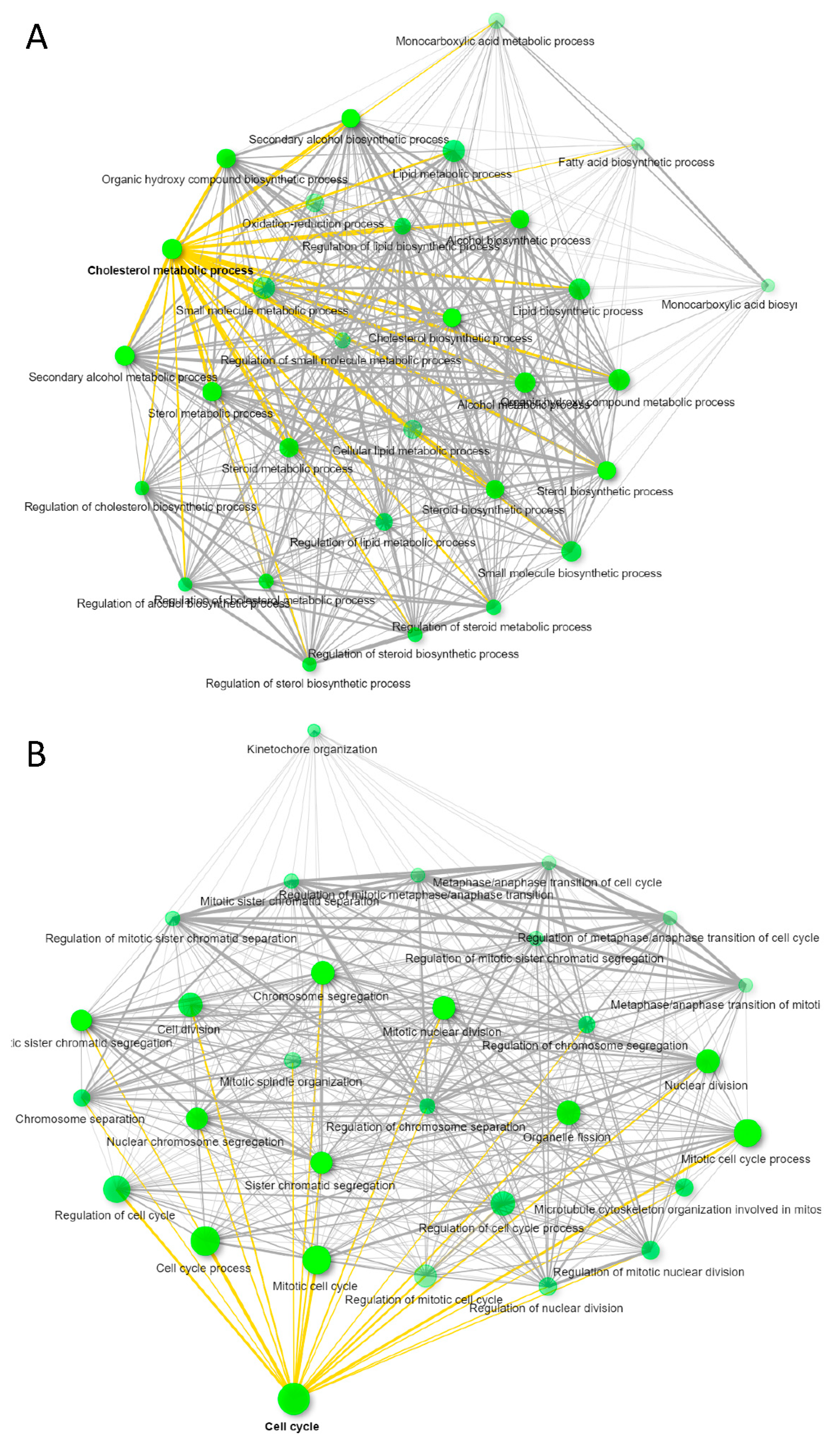 Biomedicines 09 01705 g004