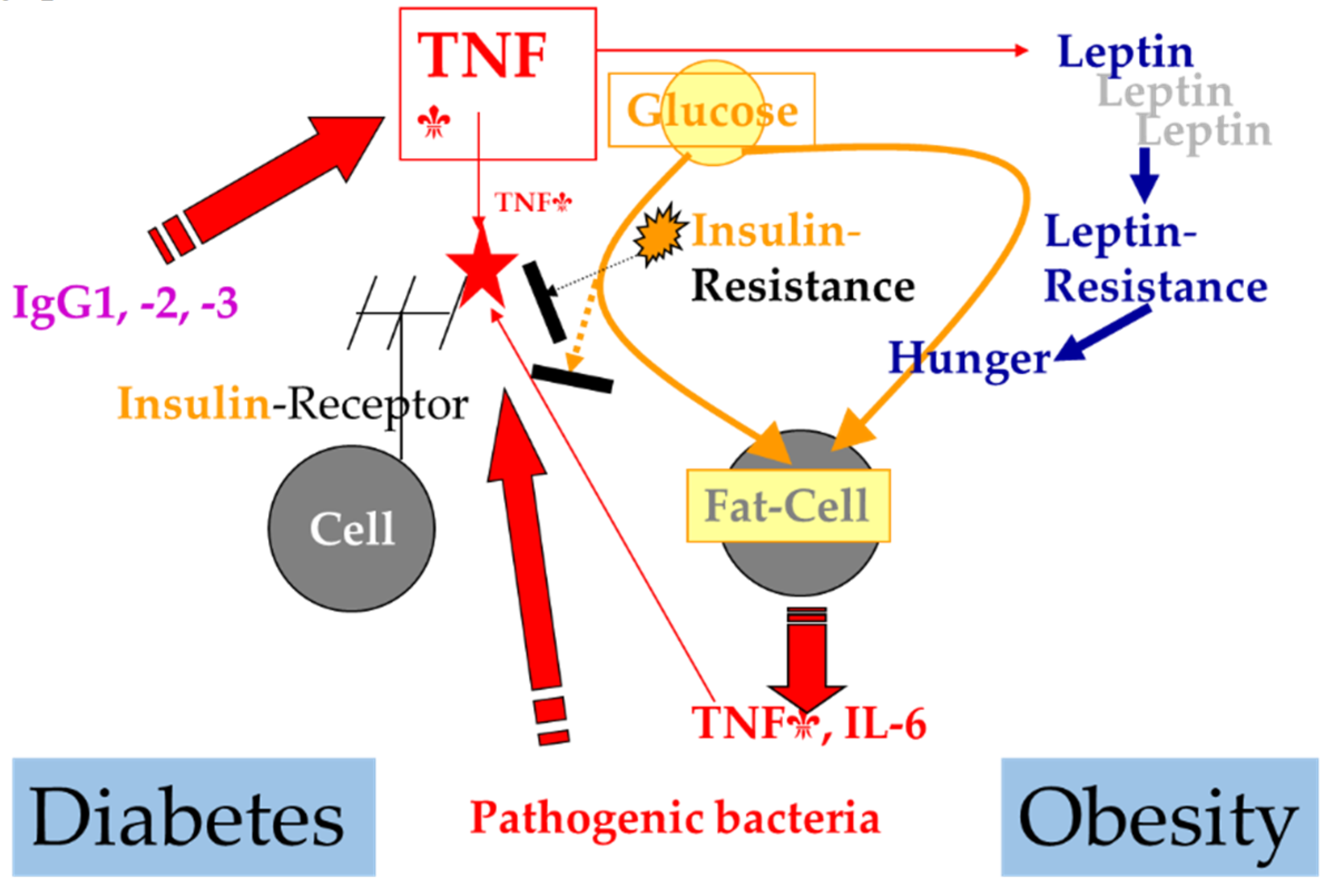 Biomedicines 09 01709 g001