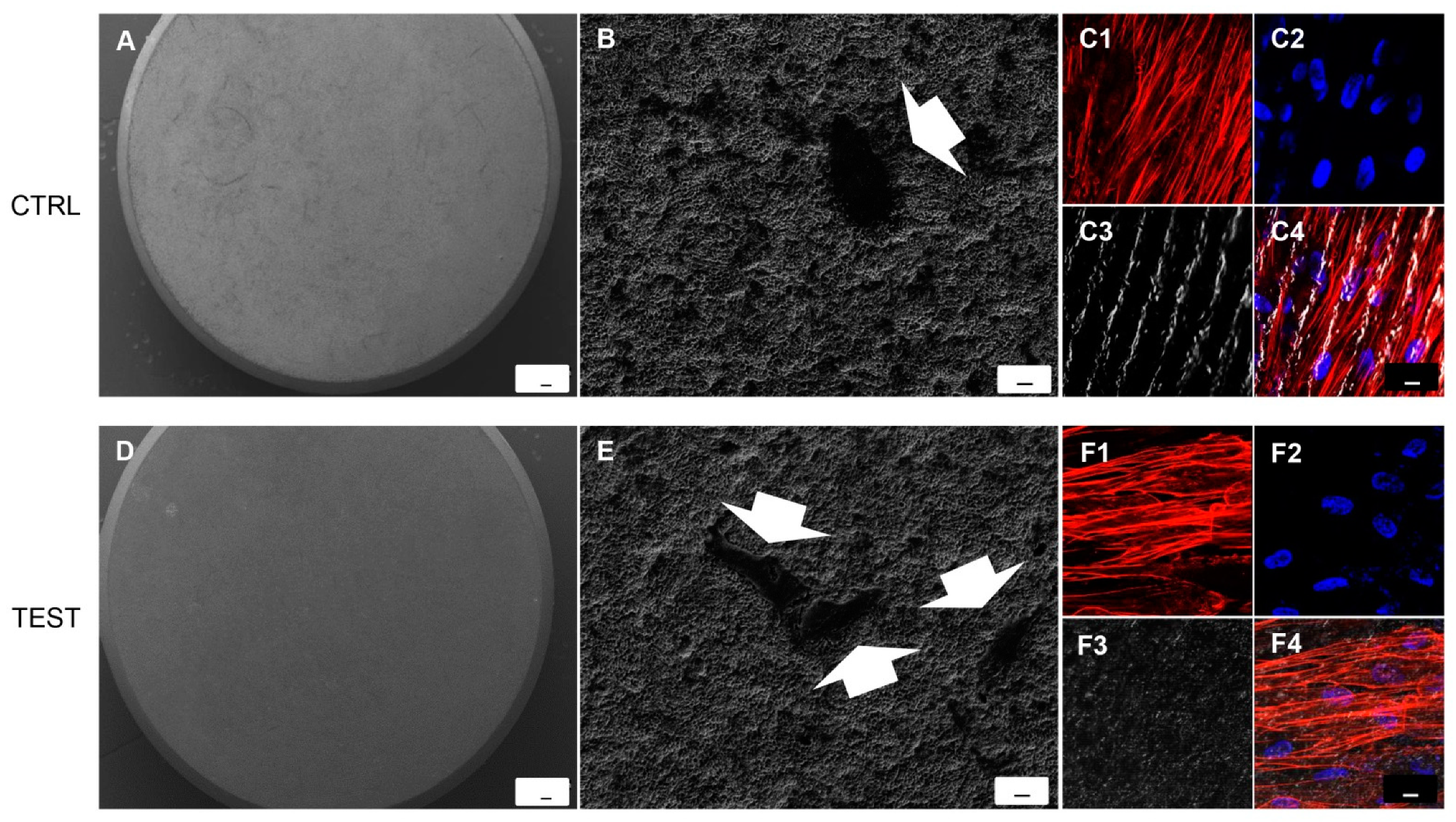 Biomedicines 09 01710 g002 550
