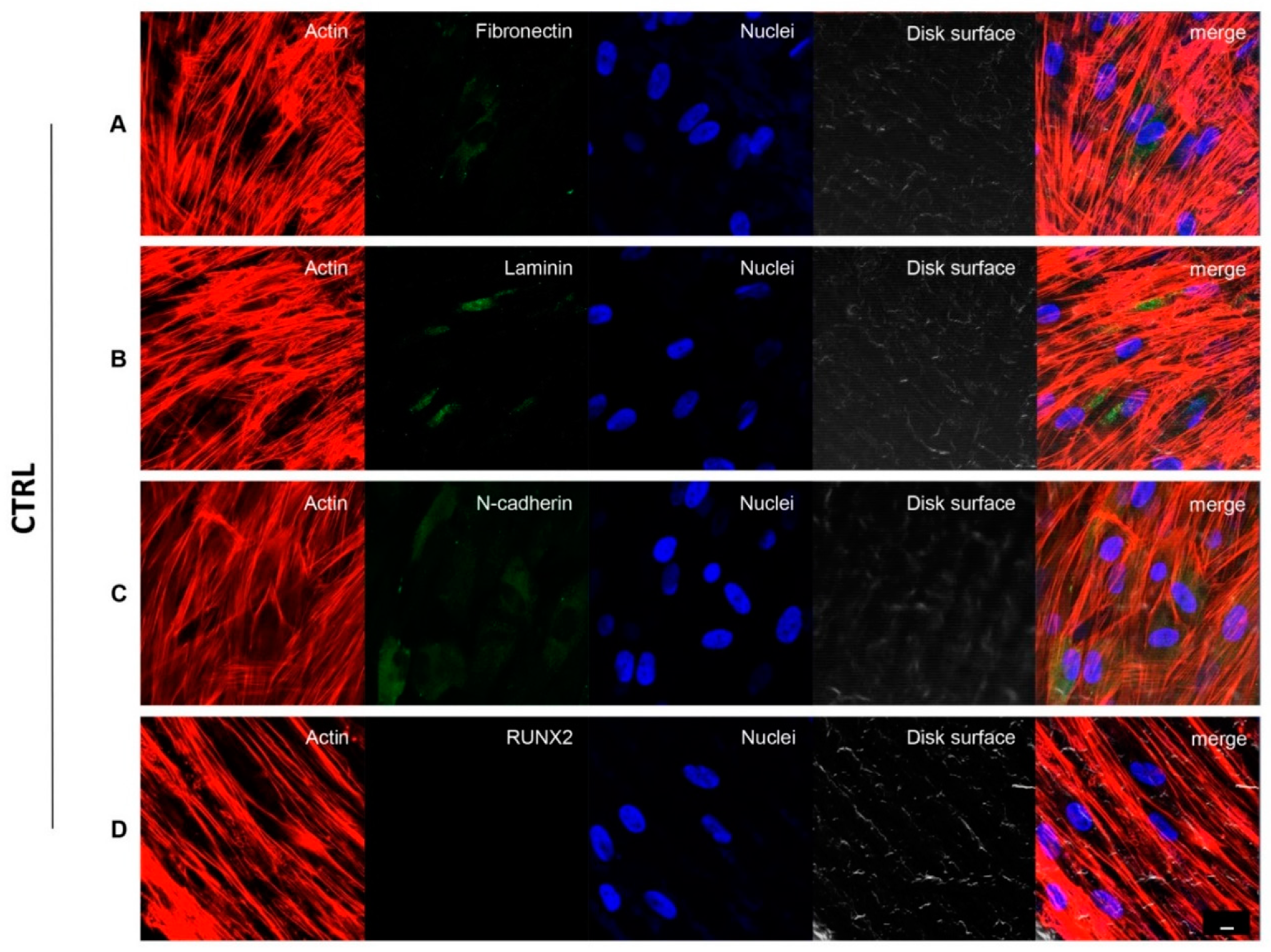 Biomedicines 09 01710 g003 550