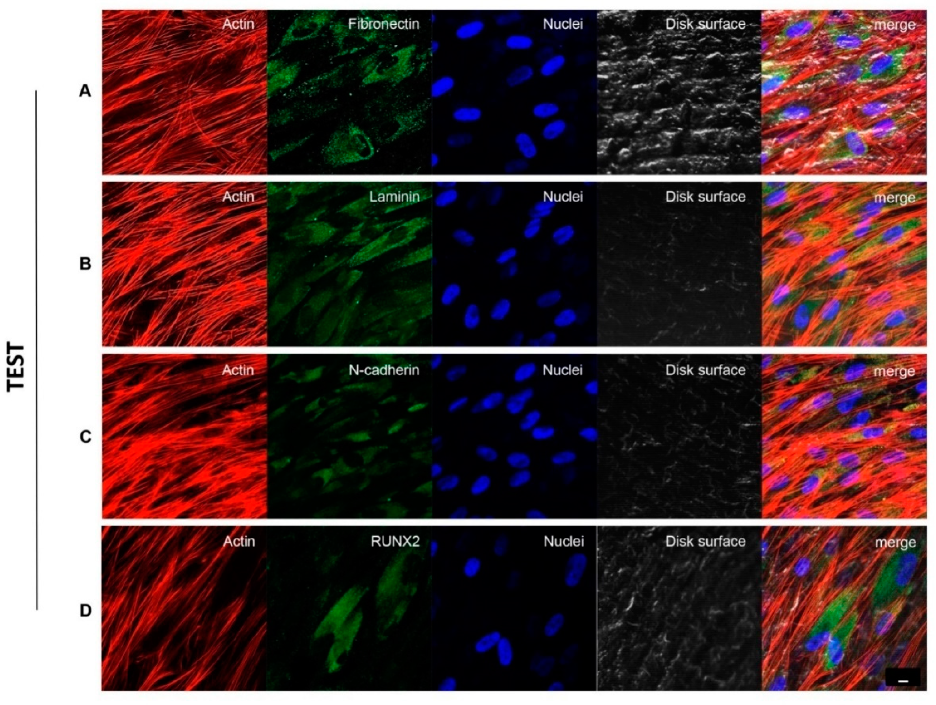 Biomedicines 09 01710 g004 550