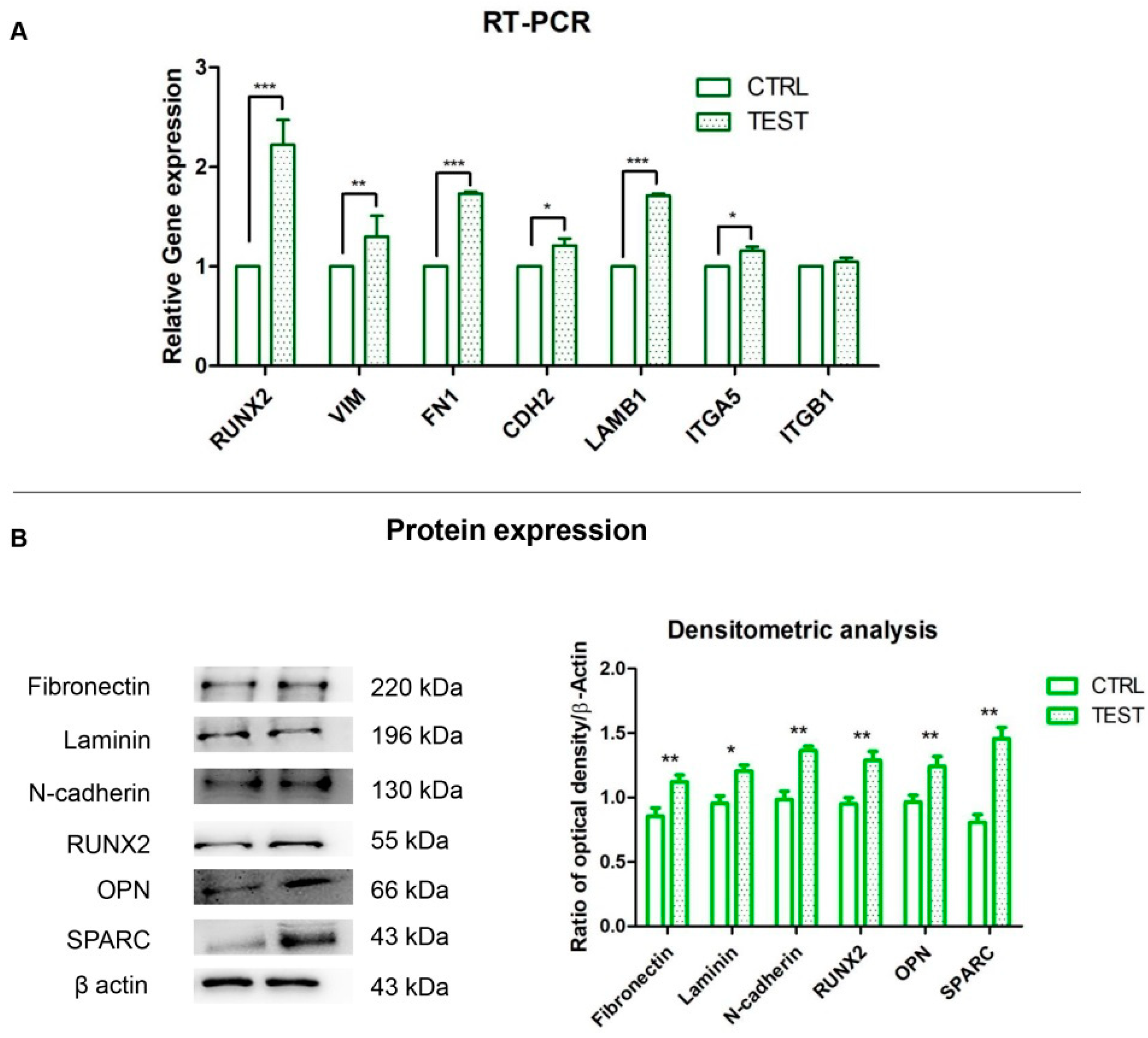 Biomedicines 09 01710 g005 550