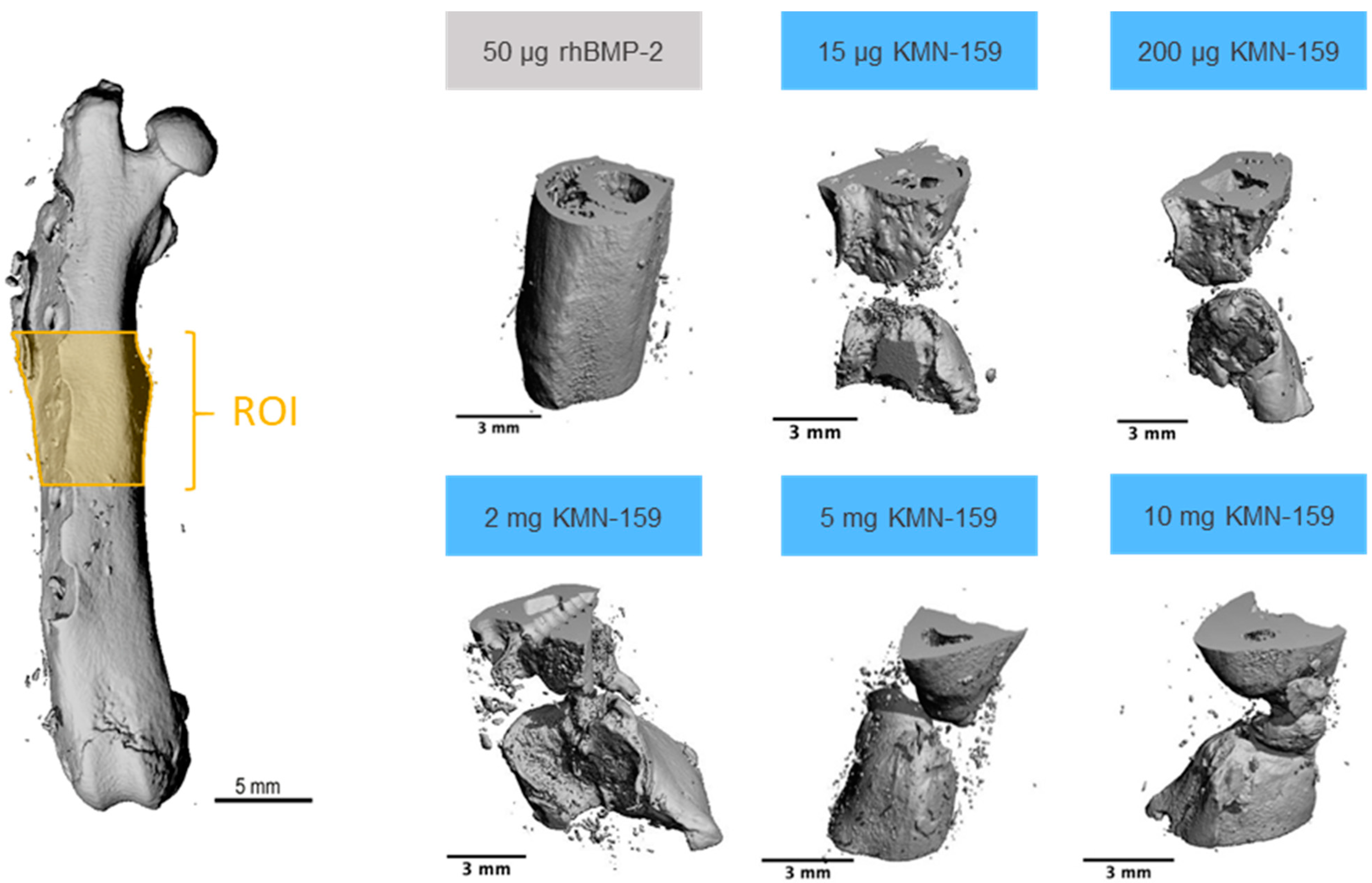 Biomedicines 09 01712 g002 550