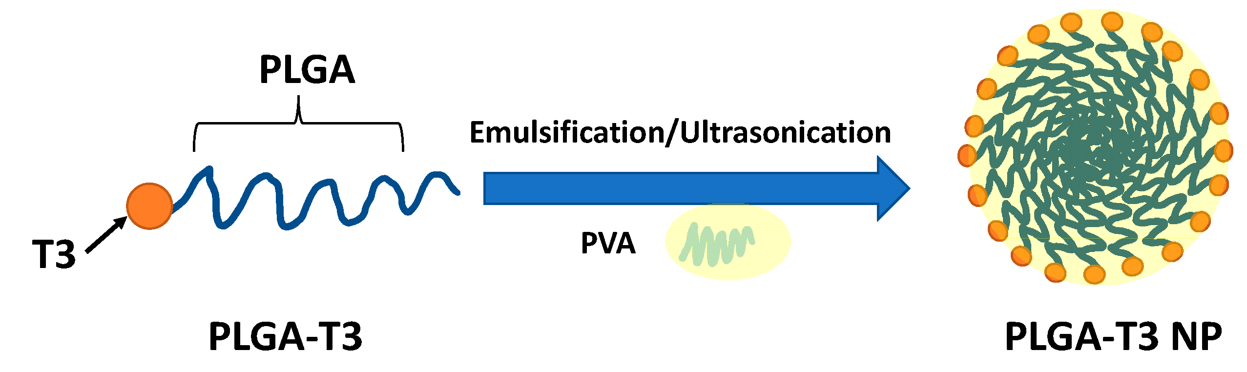 Biomedicines 09 01713 g001 Biomedicines 09 01713 g001